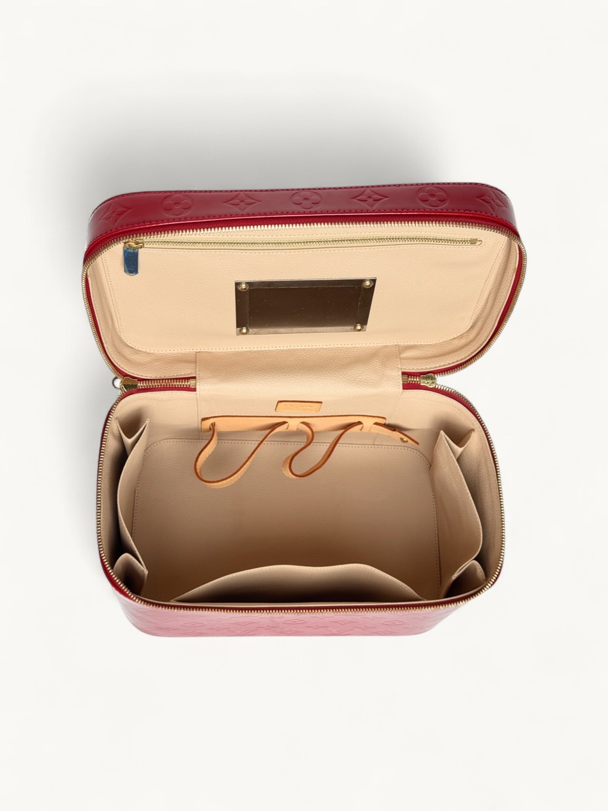 Louis Vuitton Case 6