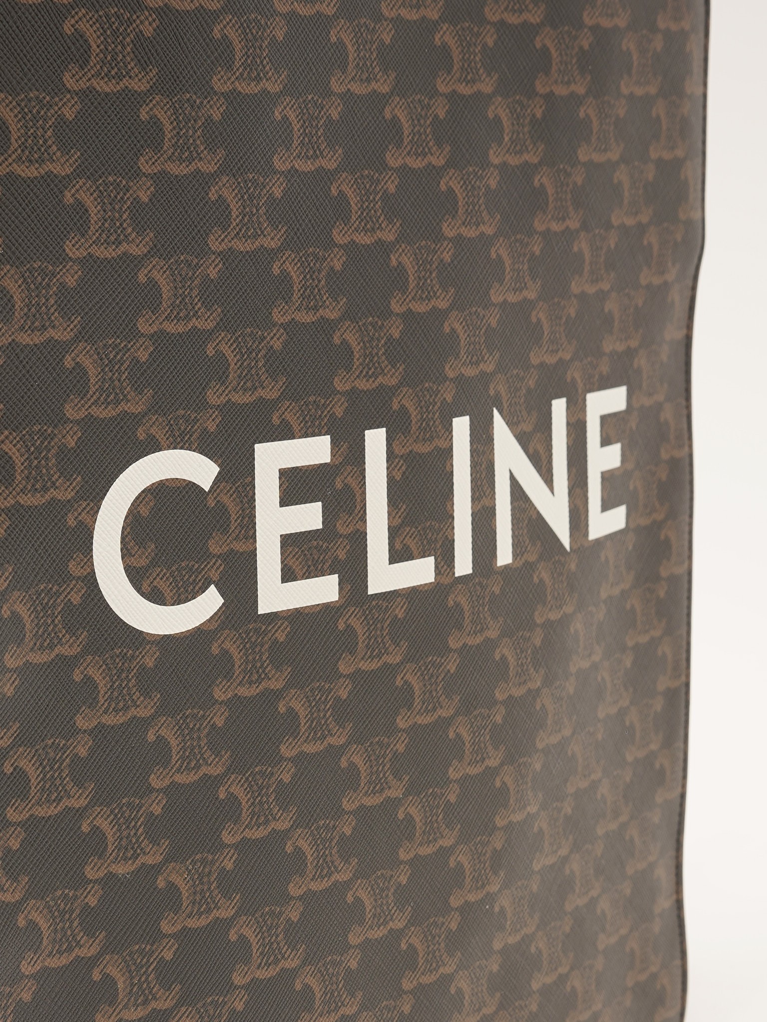 Celine Cabas 5