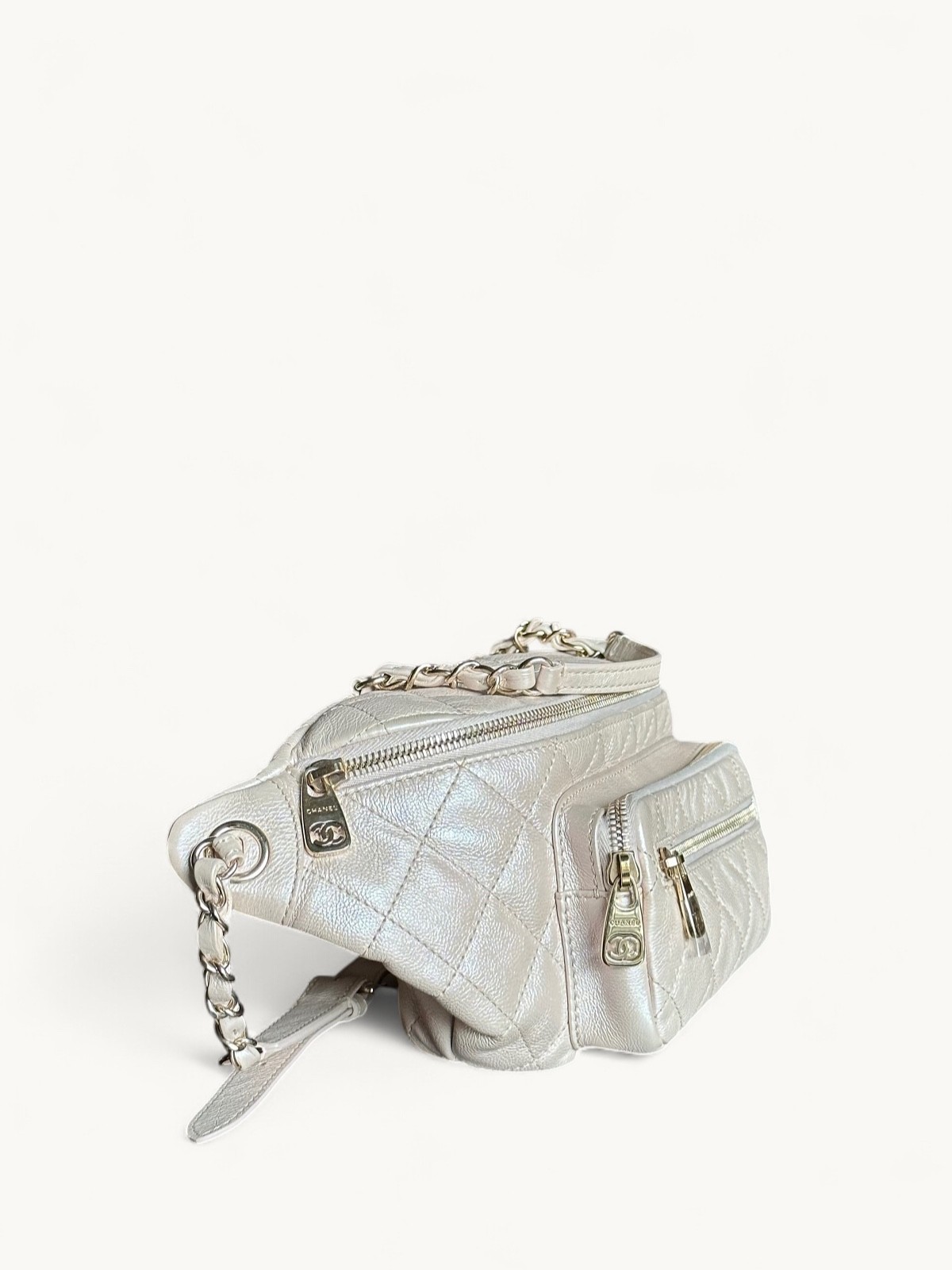 Chanel Leather Bag 1