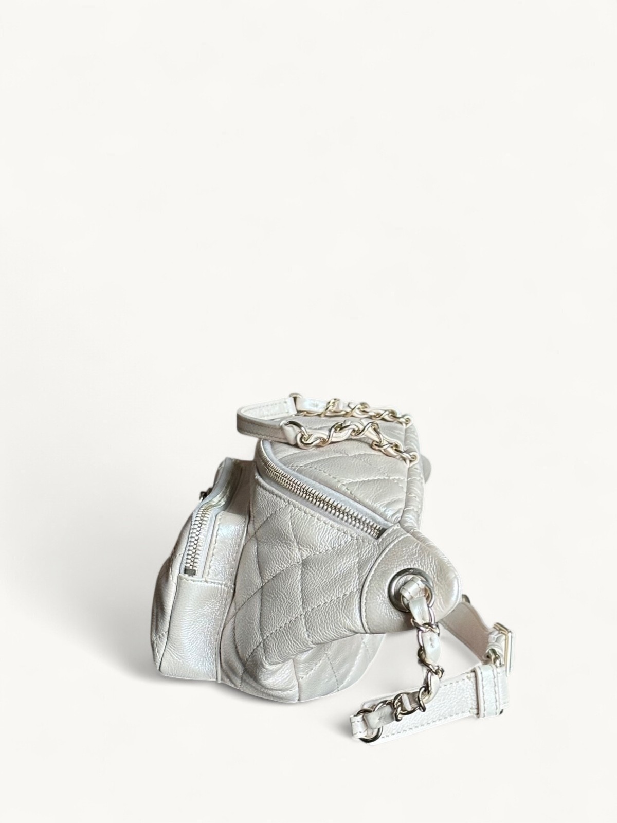 Chanel Leather Bag 2