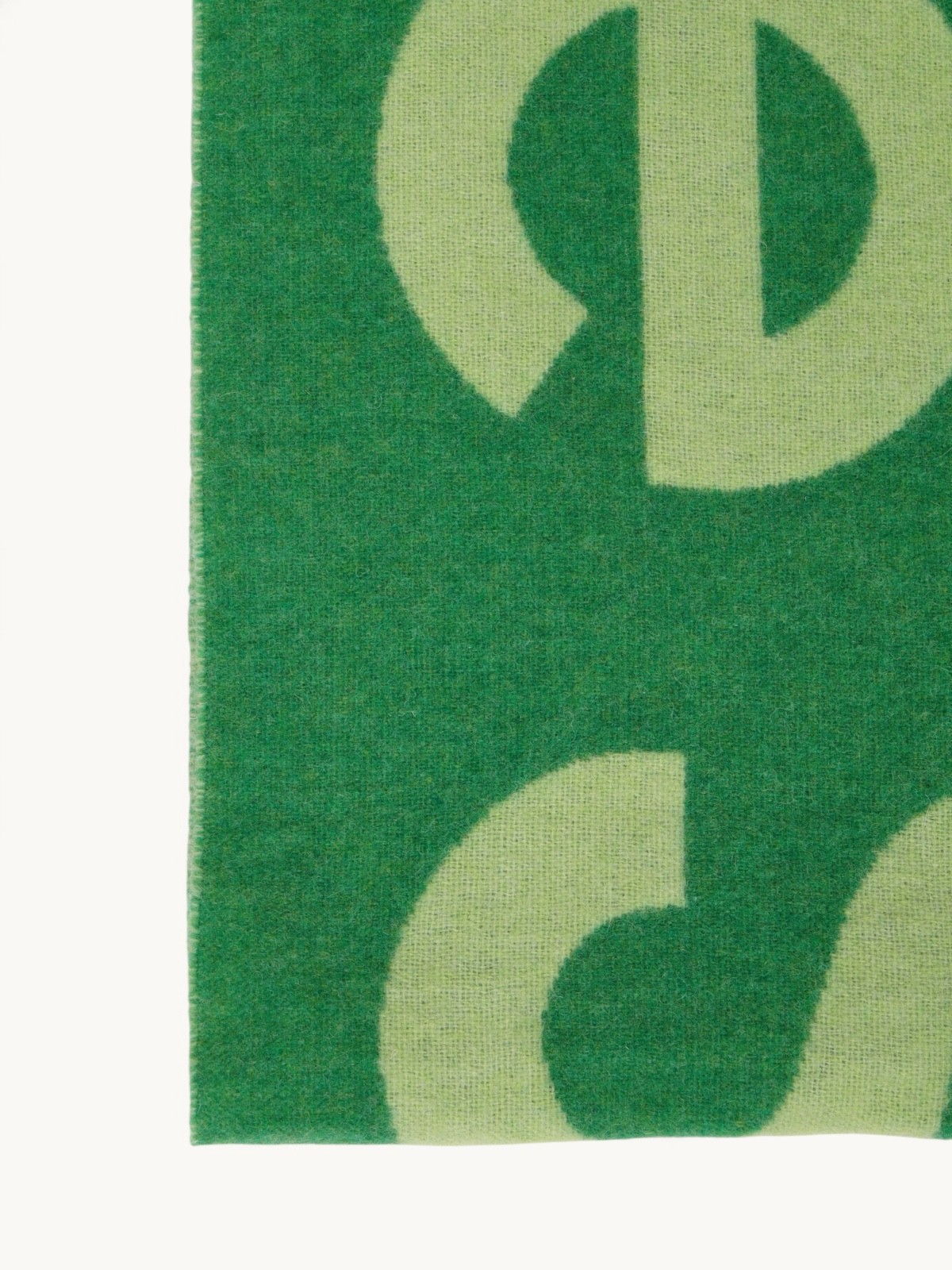 Acne Studios Scarf  2