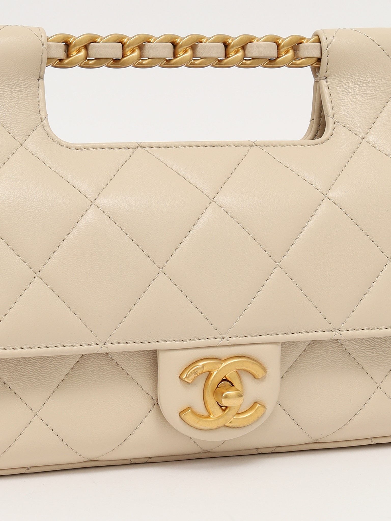 Chanel Leather Bag 6