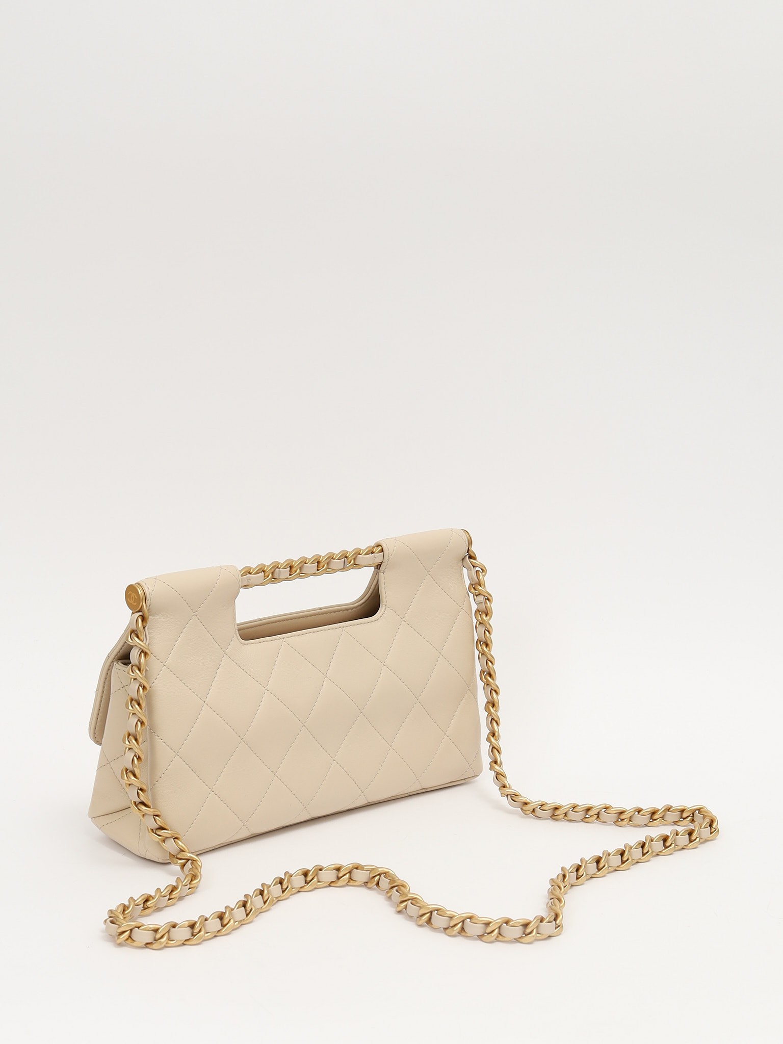 Chanel Leather Bag 3