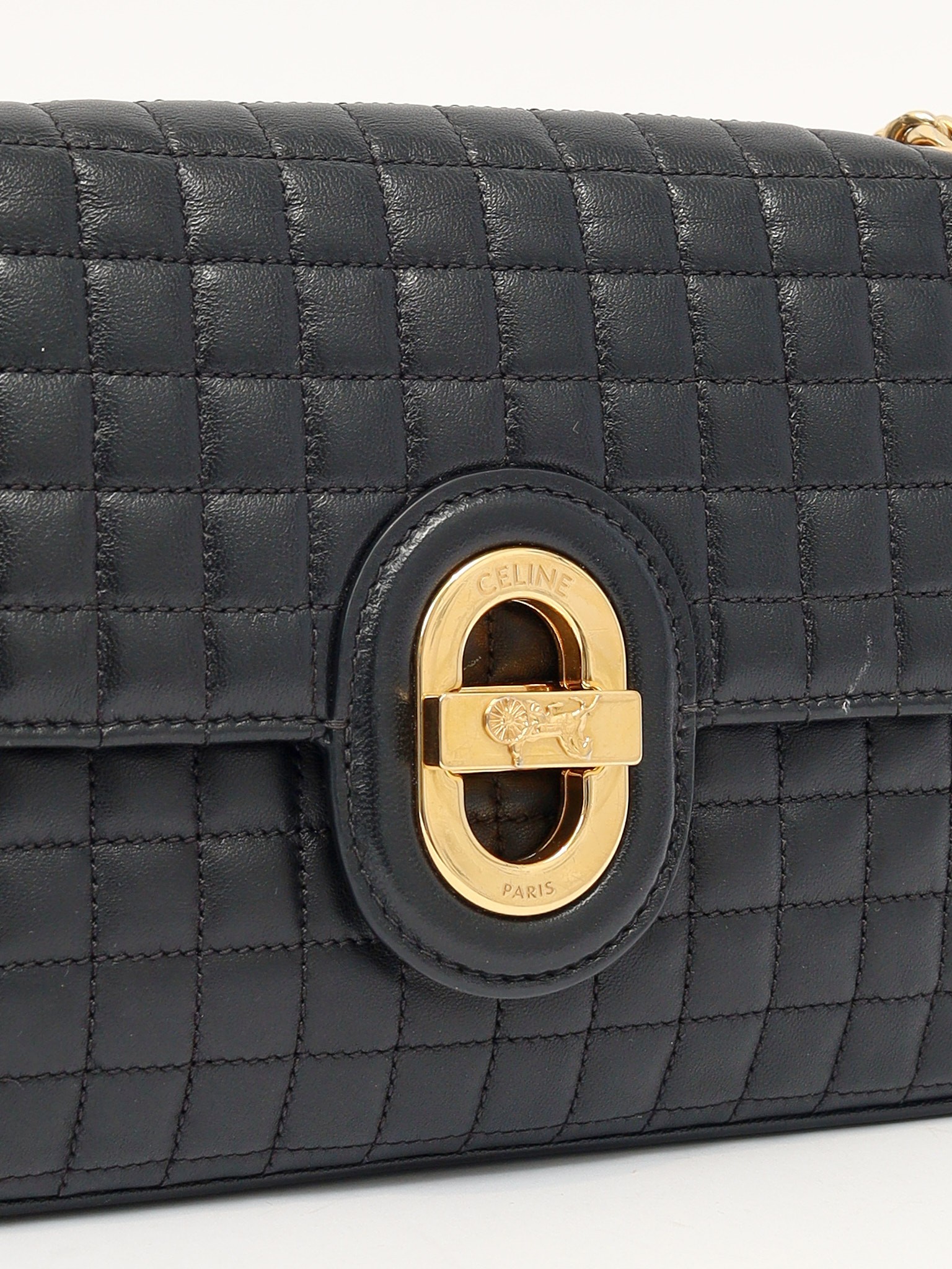 Celine Leather Bag 5