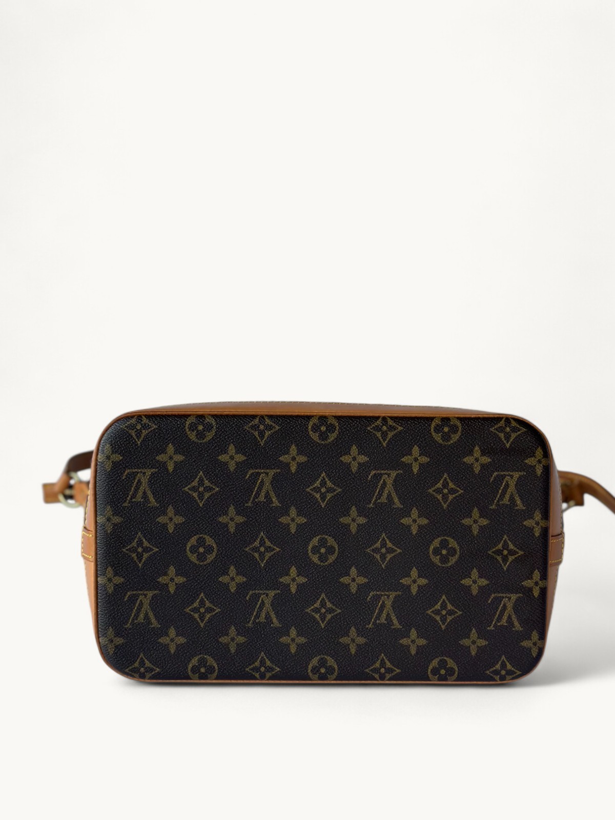 Louis Vuitton Amfar 6