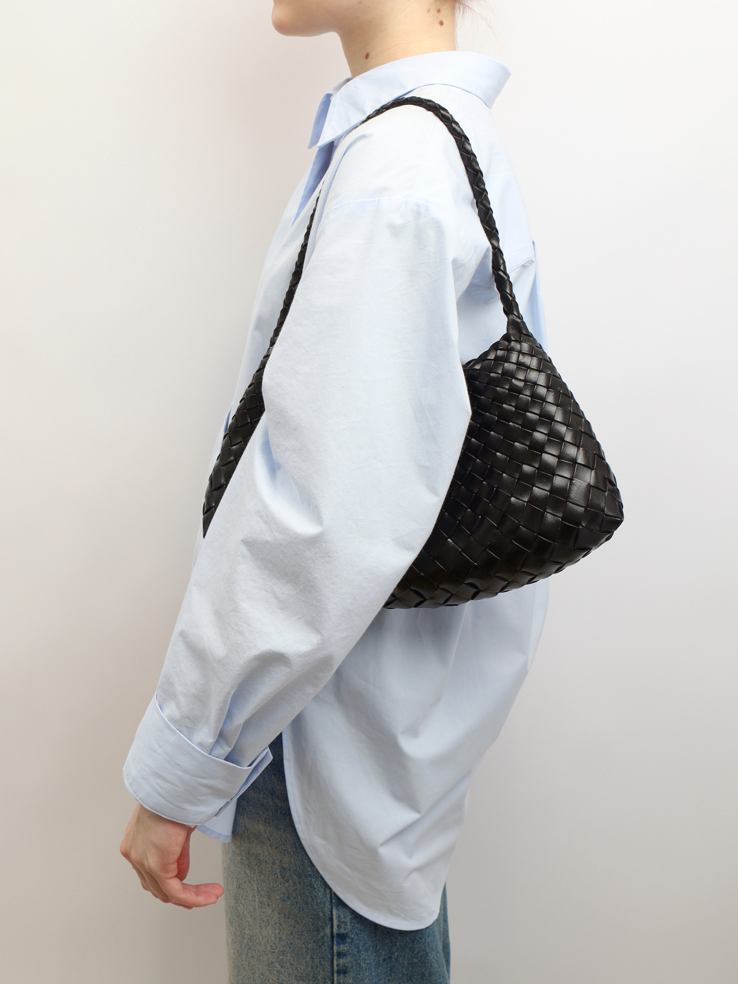 Dragon Diffusion Rosanna 1