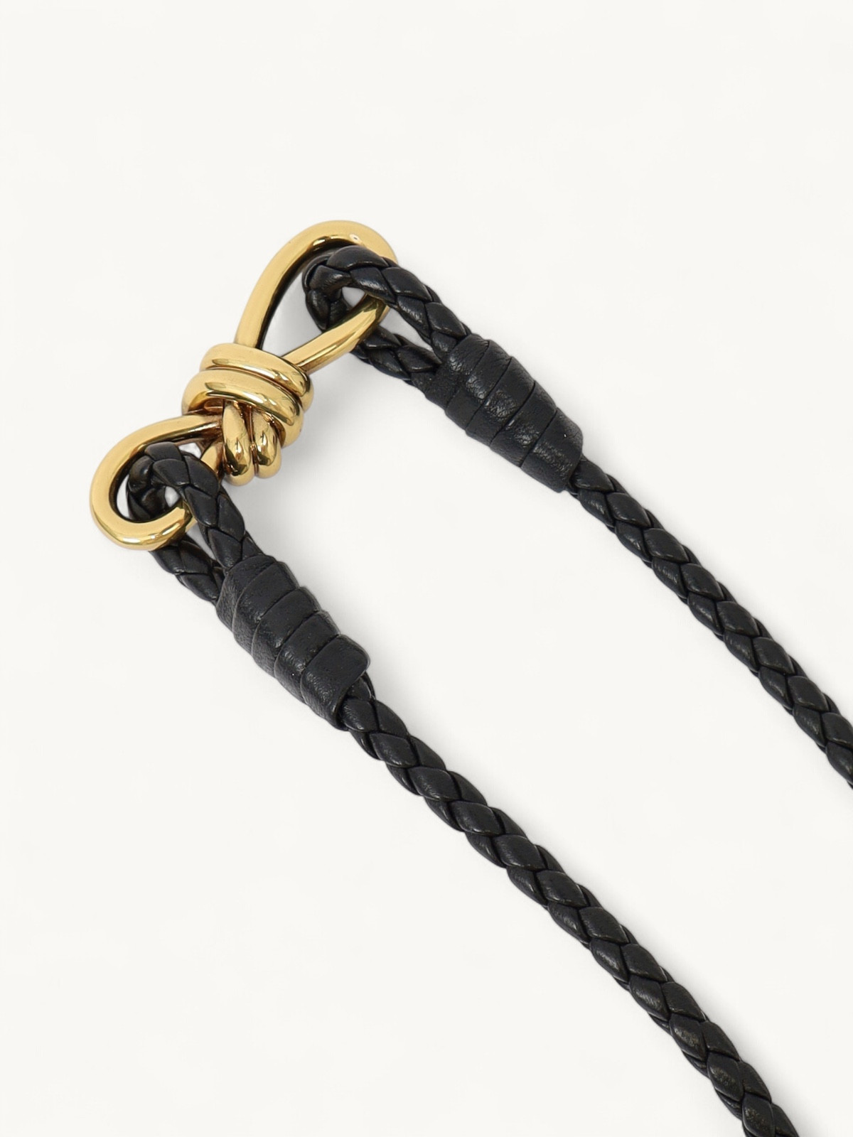 Bottega Veneta Case 4