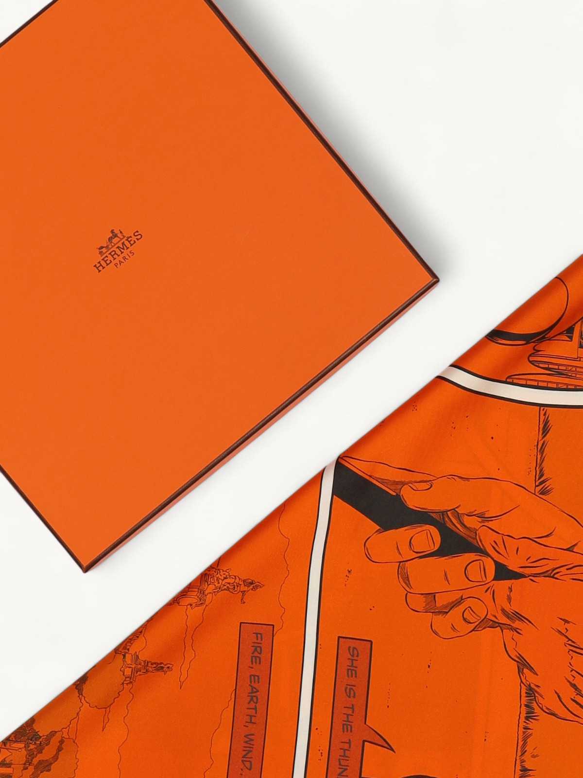 Hermes Silk Scarf  2