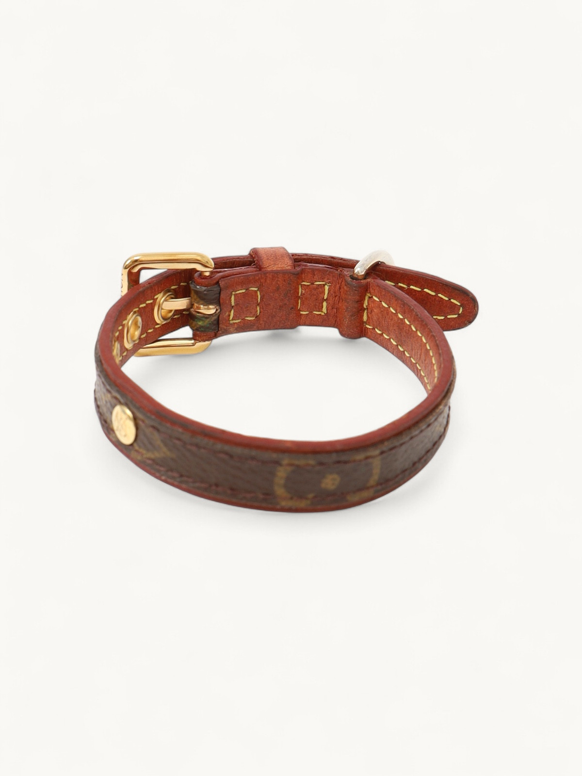 Louis Vuitton Dog Collar 4