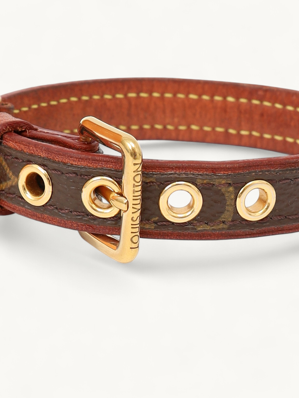 Louis Vuitton Dog Collar 5