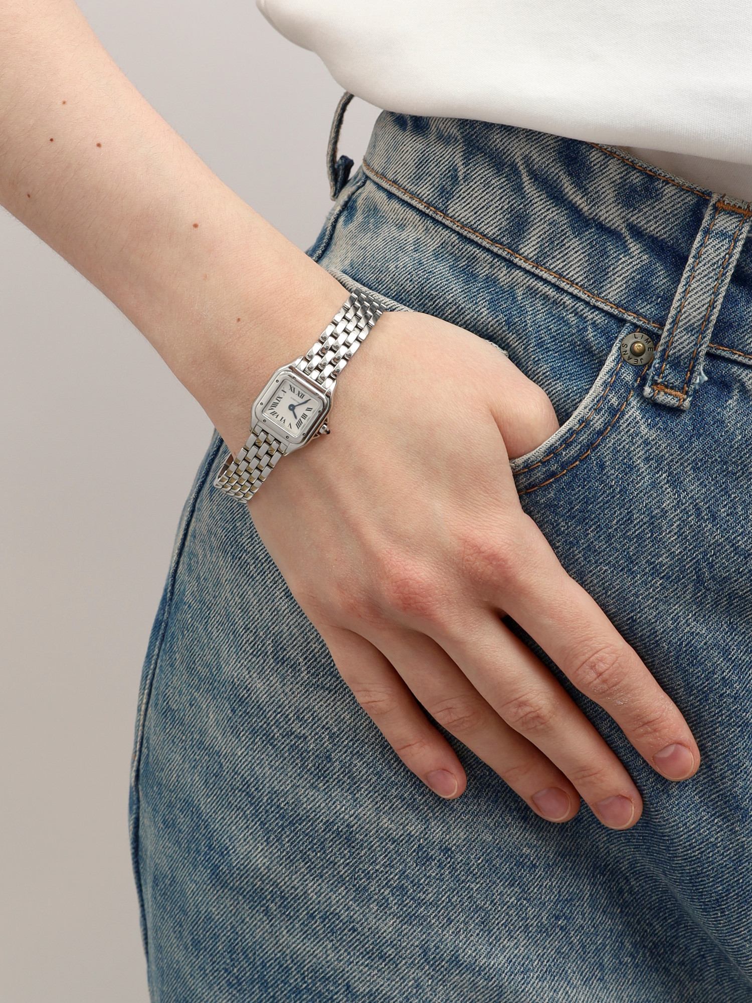 Cartier Panthère de Cartier 1