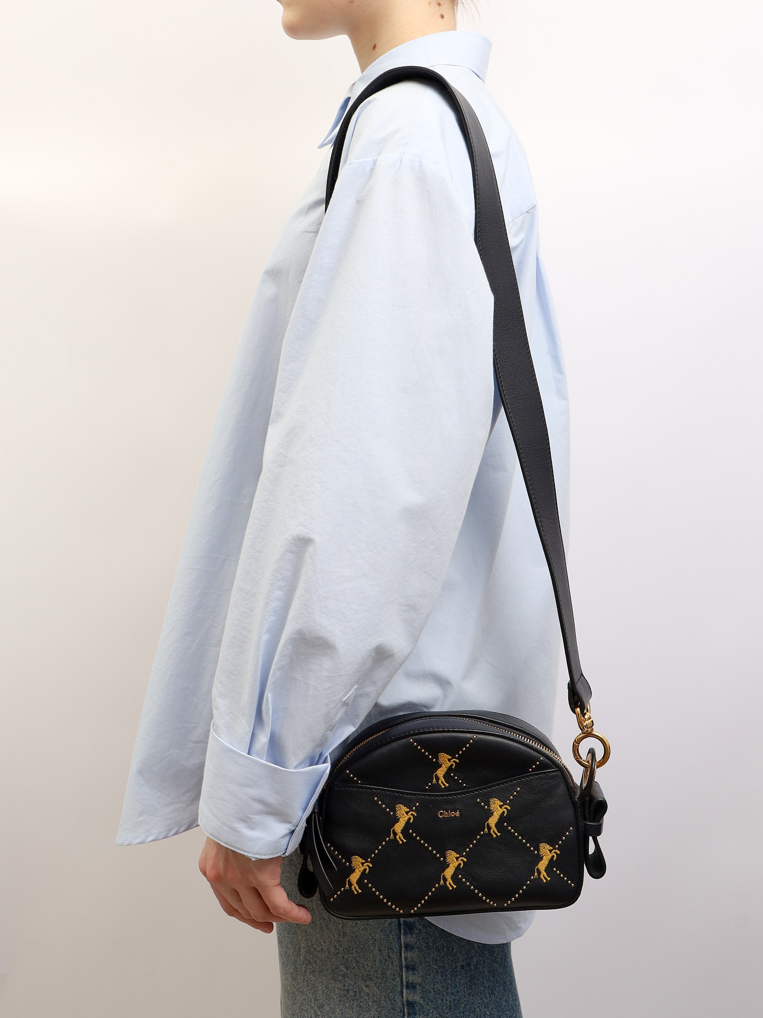 Chloe Leather Bag  1