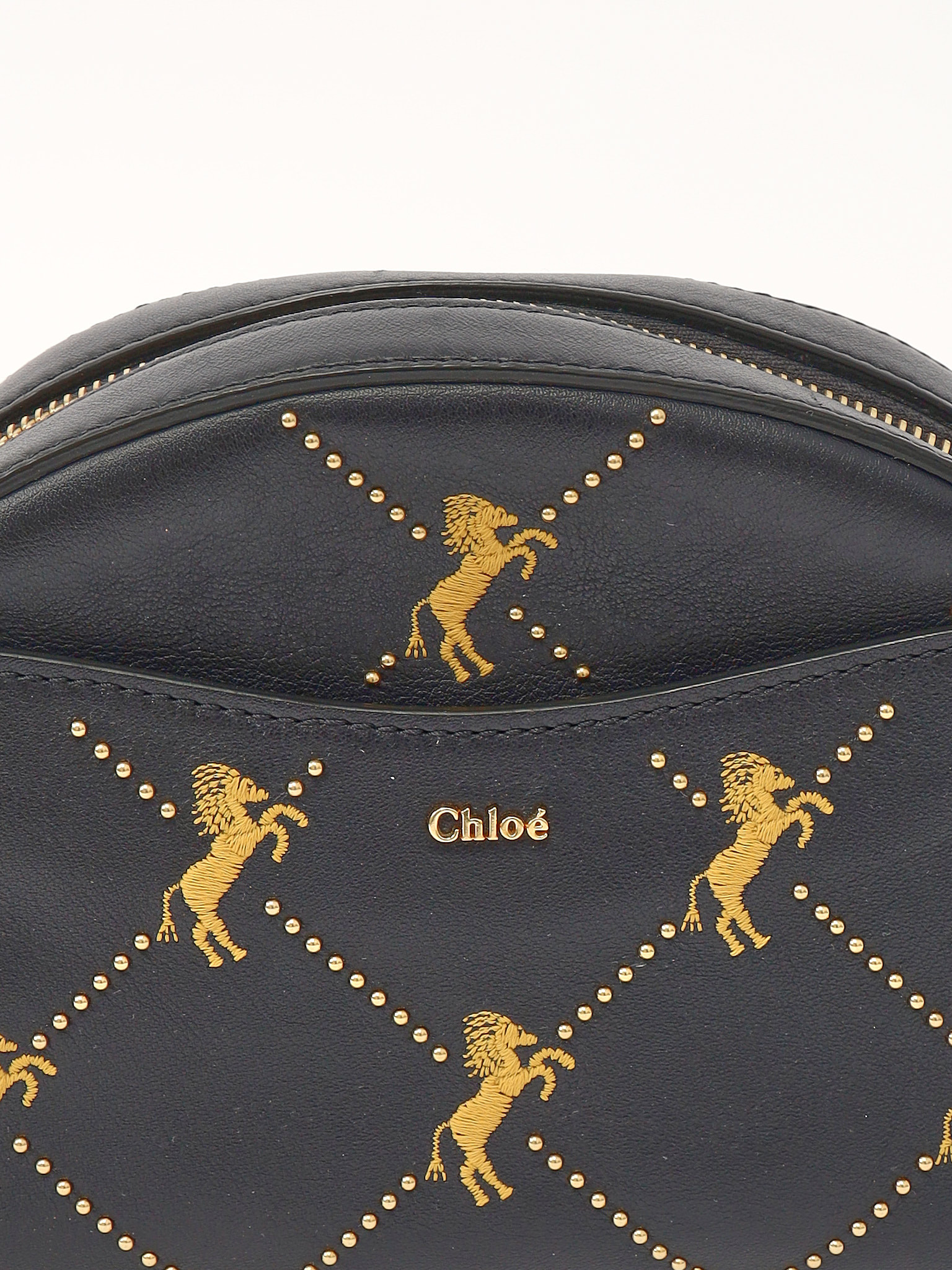 Chloe Leather Bag  5