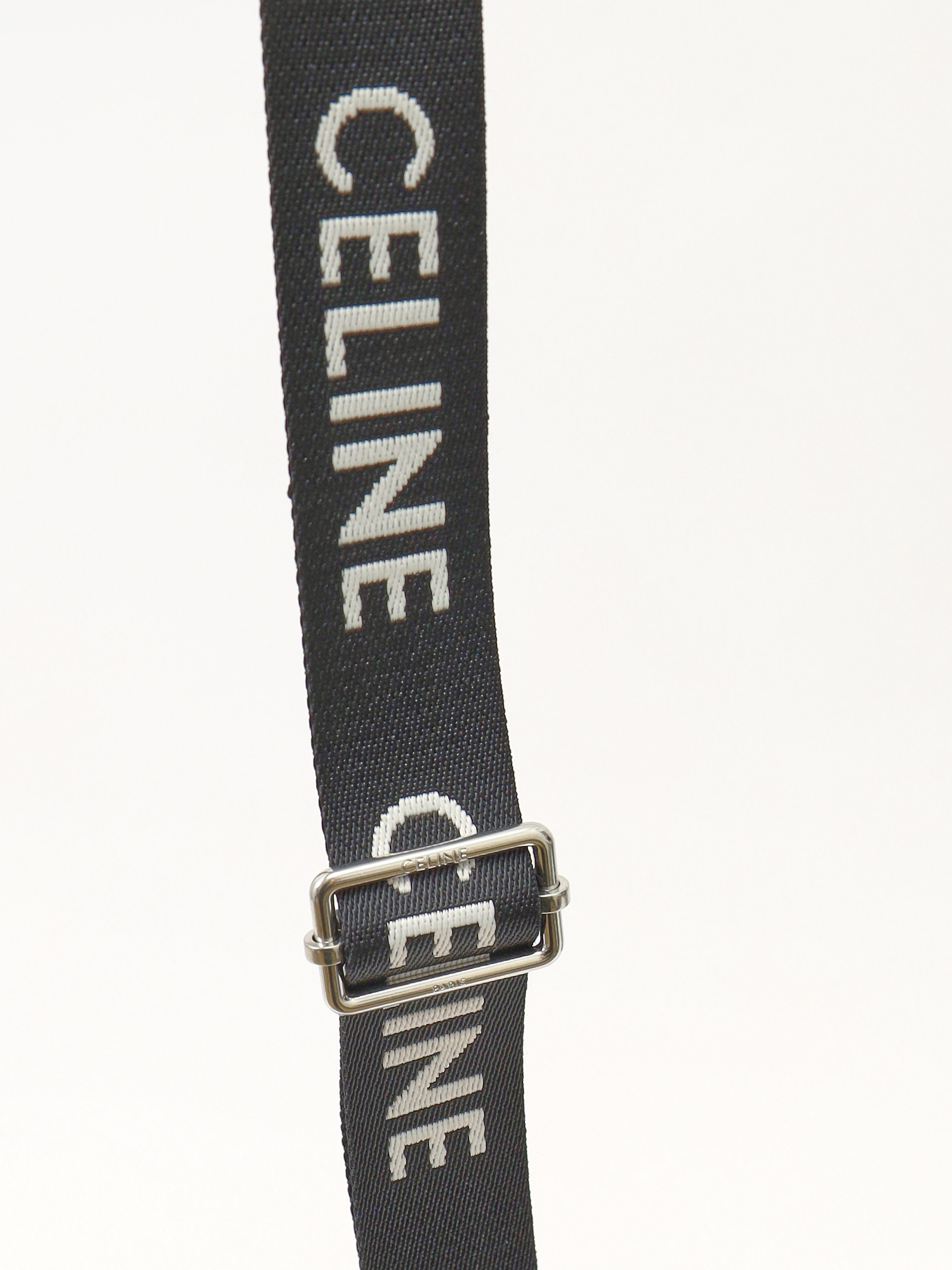 Celine Triomphe Canvas  6