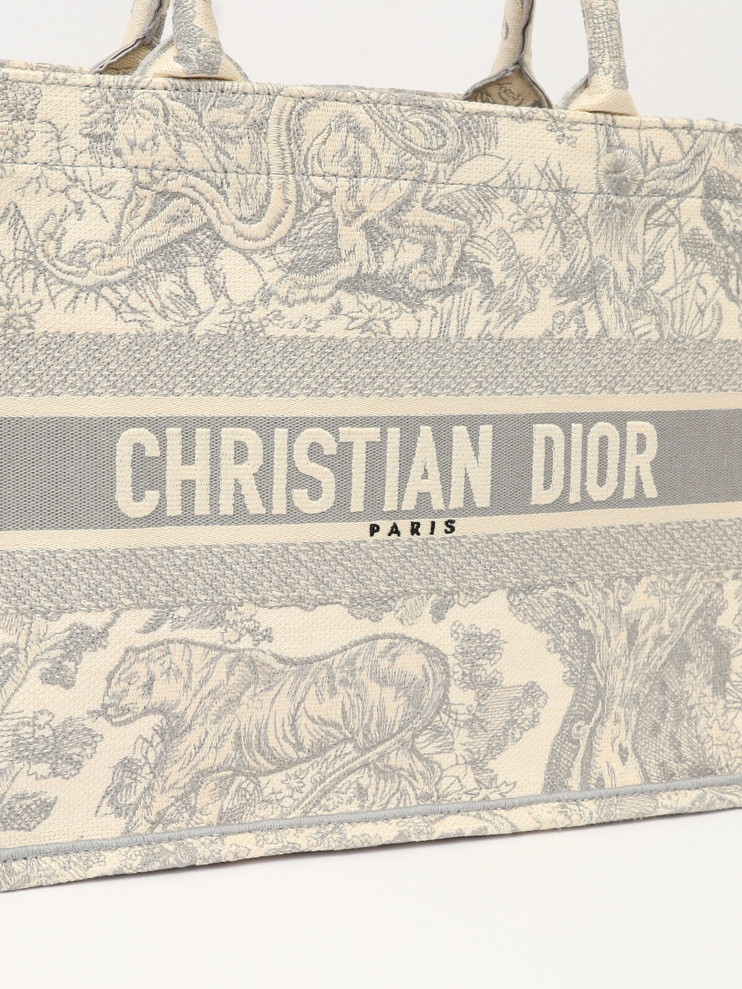 Dior Book Tote 4
