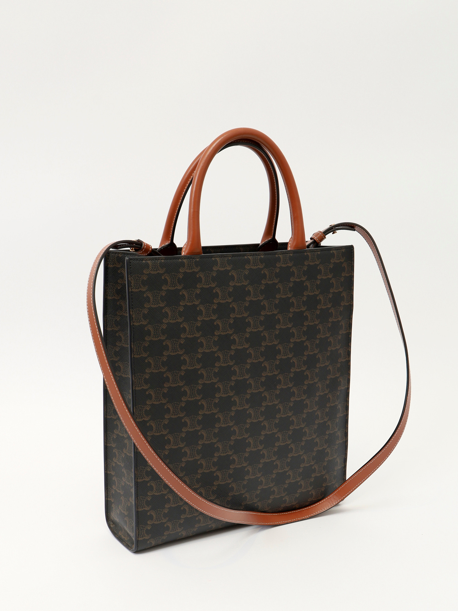 Celine Triomphe Canvas  3
