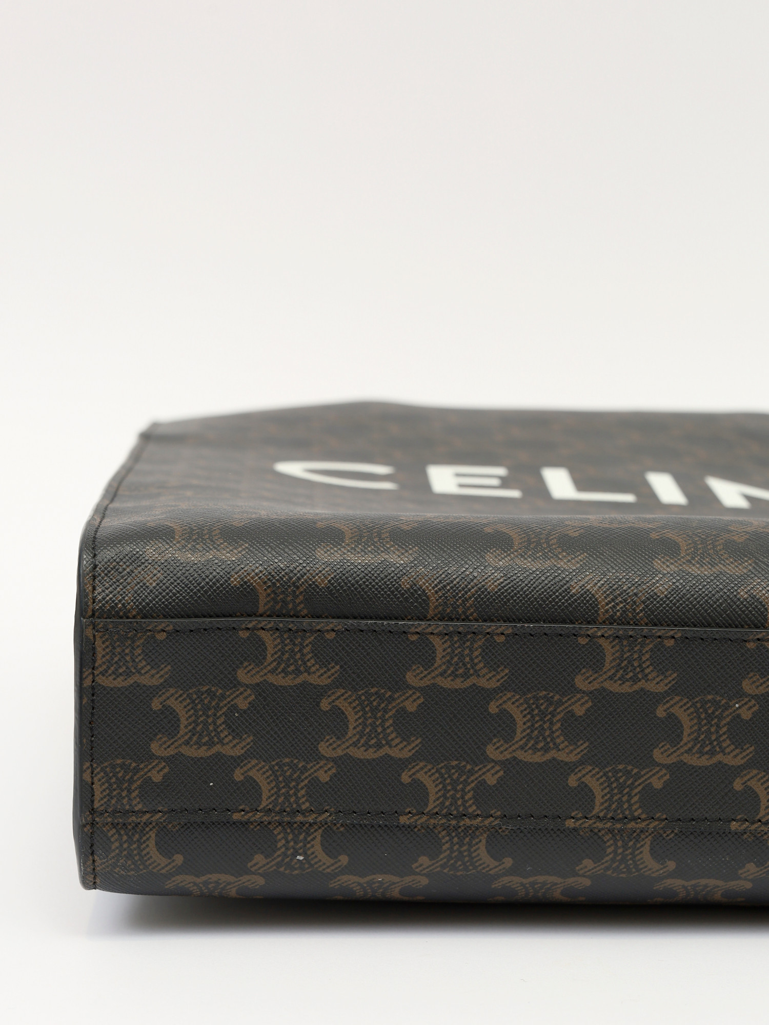 Celine Triomphe Canvas  9