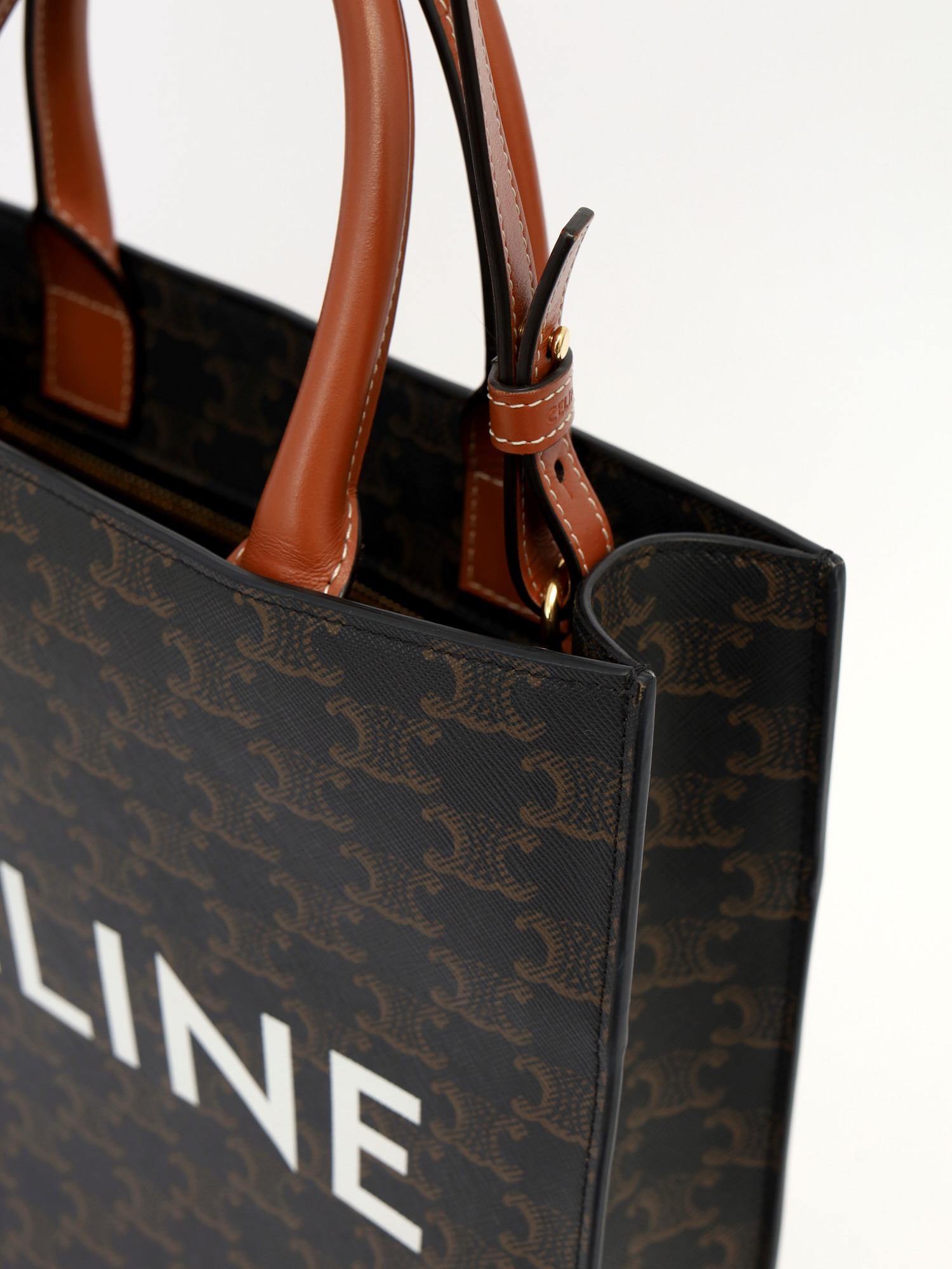 Celine Triomphe Canvas  7