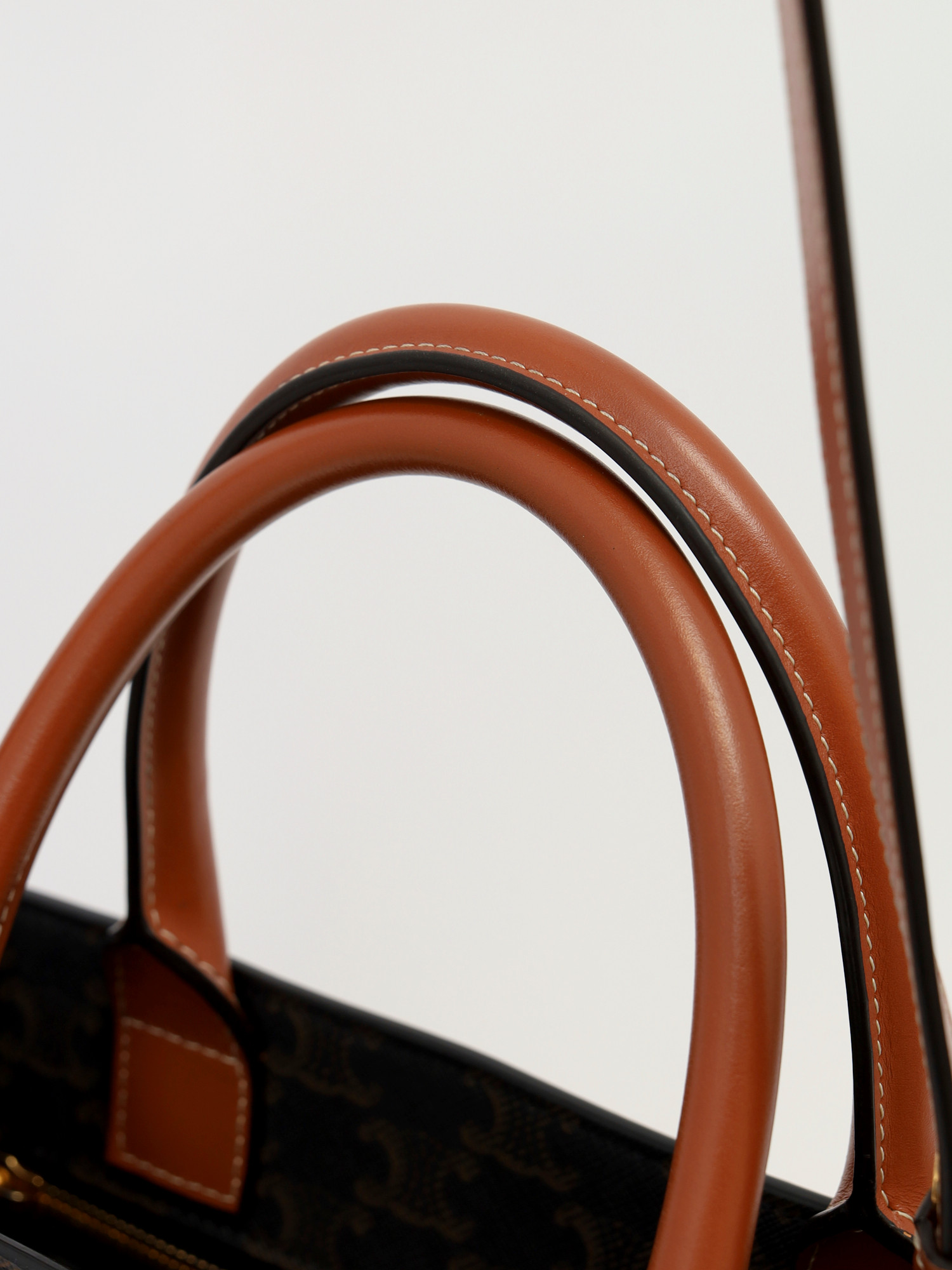Celine Triomphe Canvas  8