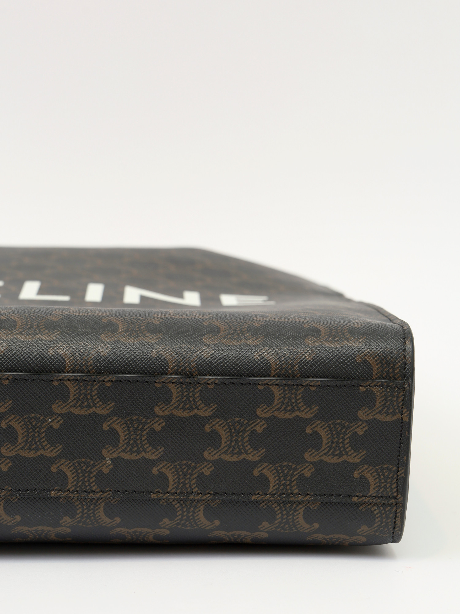 Celine Triomphe Canvas  10