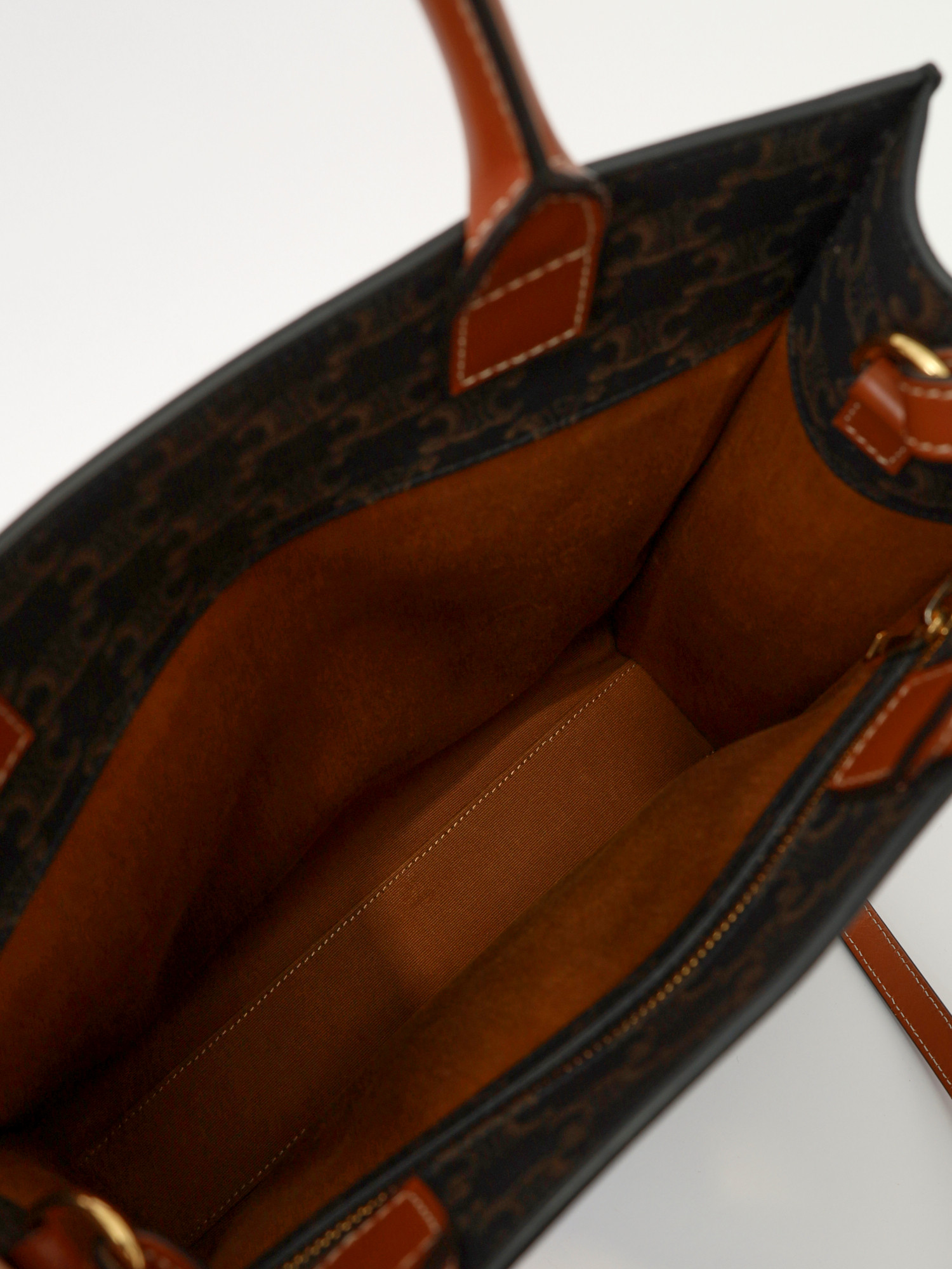 Celine Triomphe Canvas  11