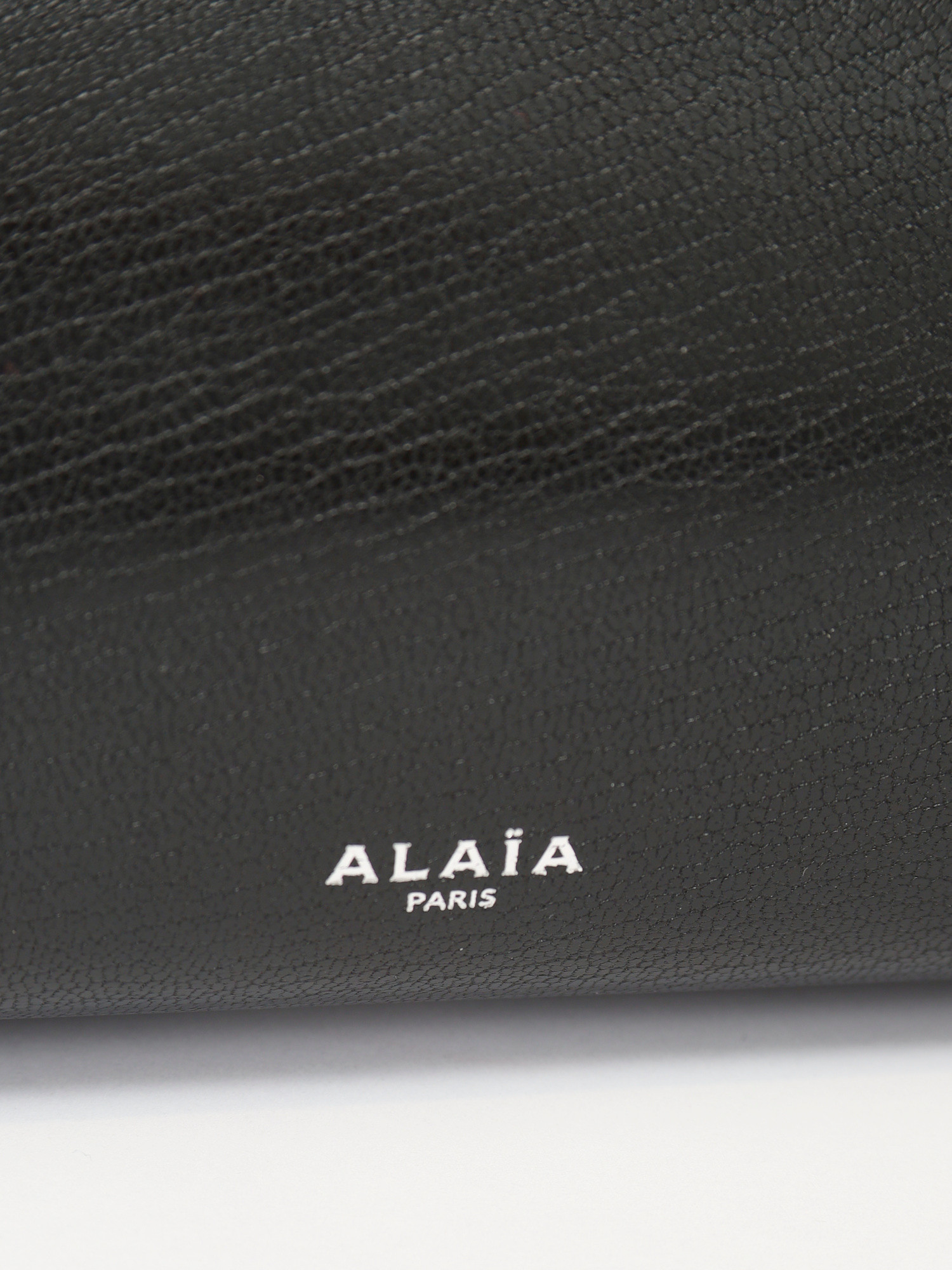 Alaia Le Teckel 3