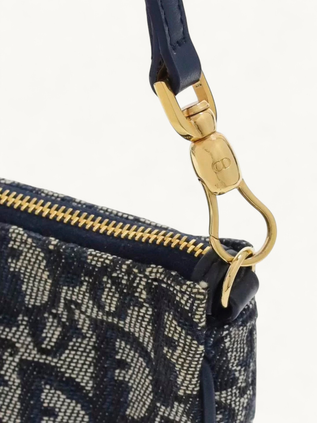 Dior Saddle 6