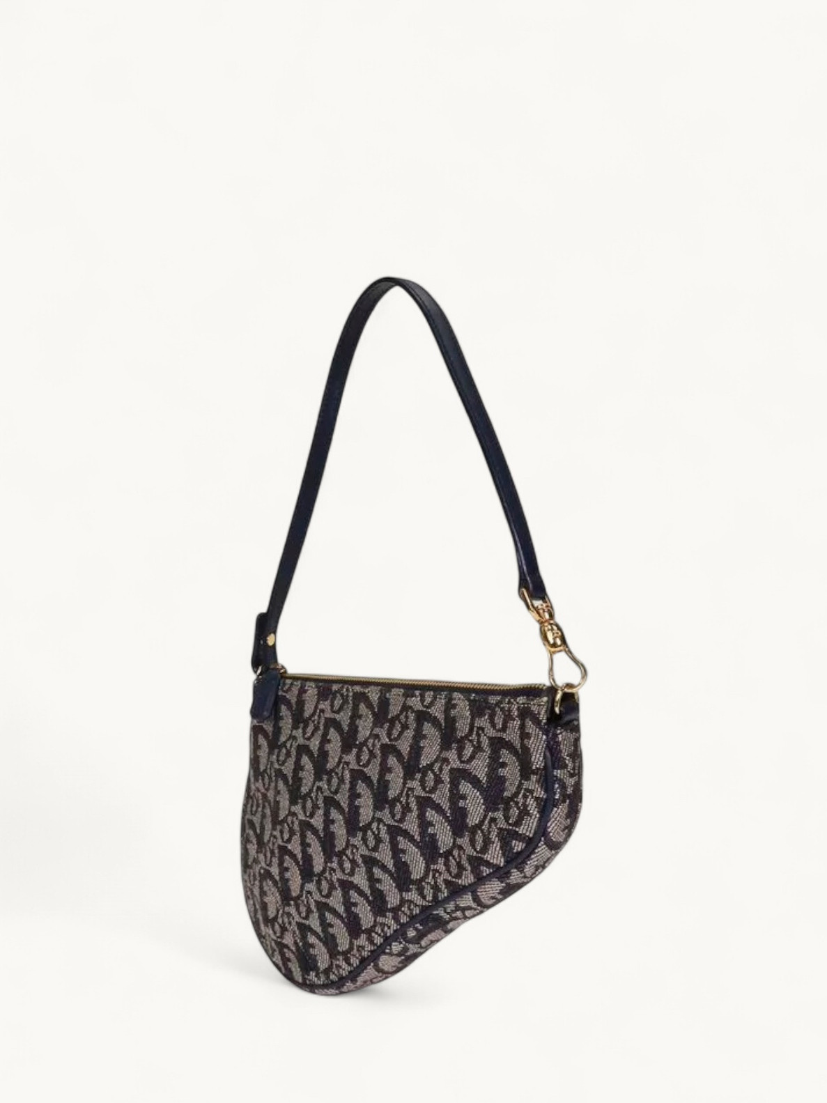 Dior Saddle 1