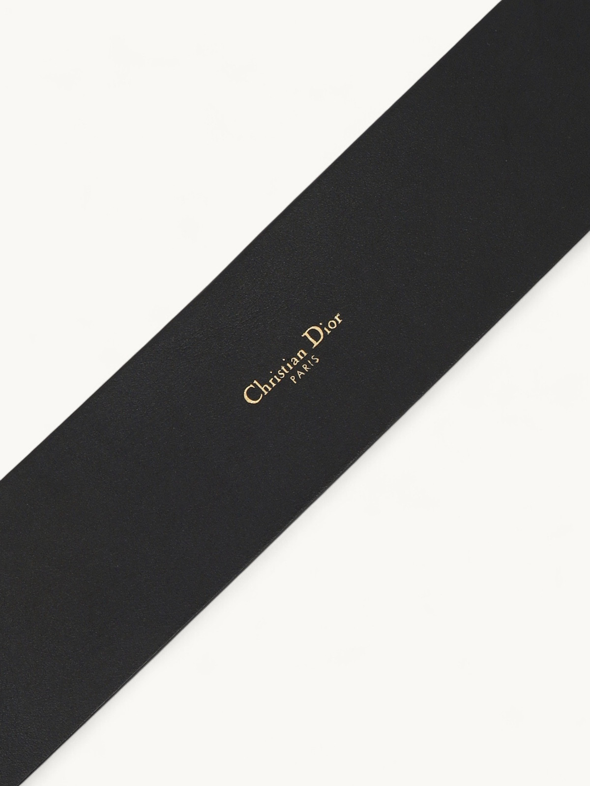 Dior Belt 5