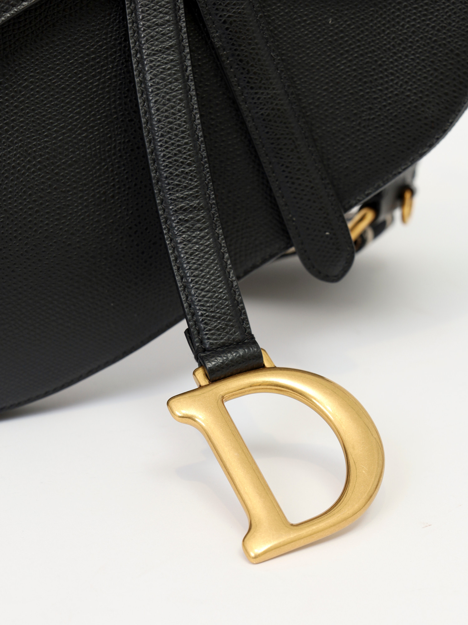 Dior Saddle  5