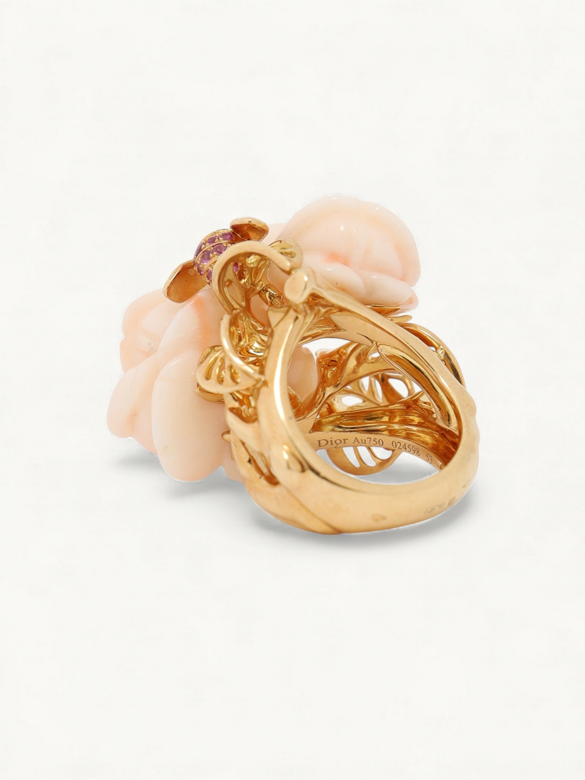 Dior Rose Pre Catelan  5