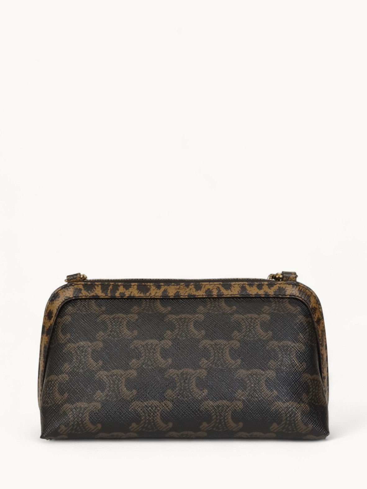 Celine Triomphe Canvas  2