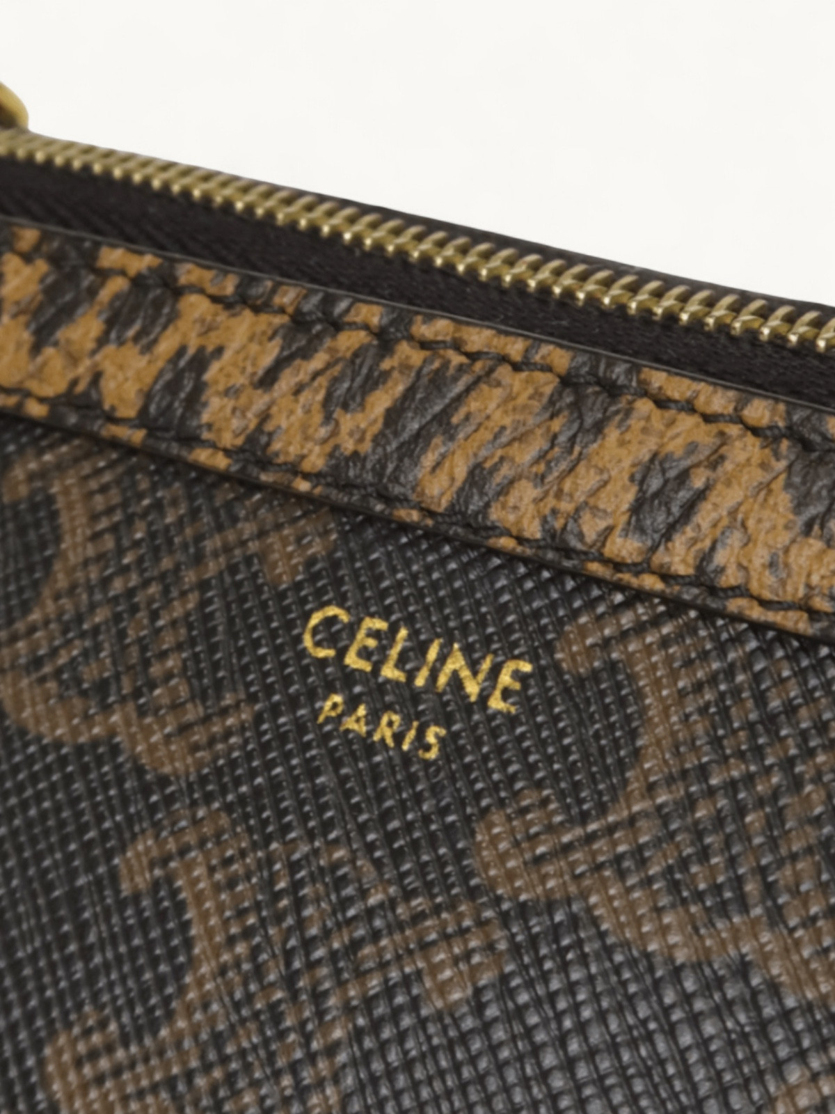Celine Triomphe Canvas  6