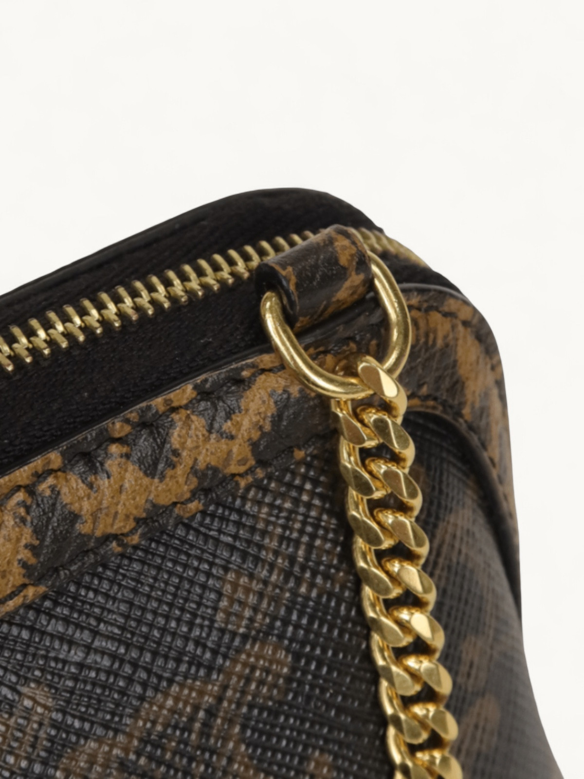 Celine Triomphe Canvas  5