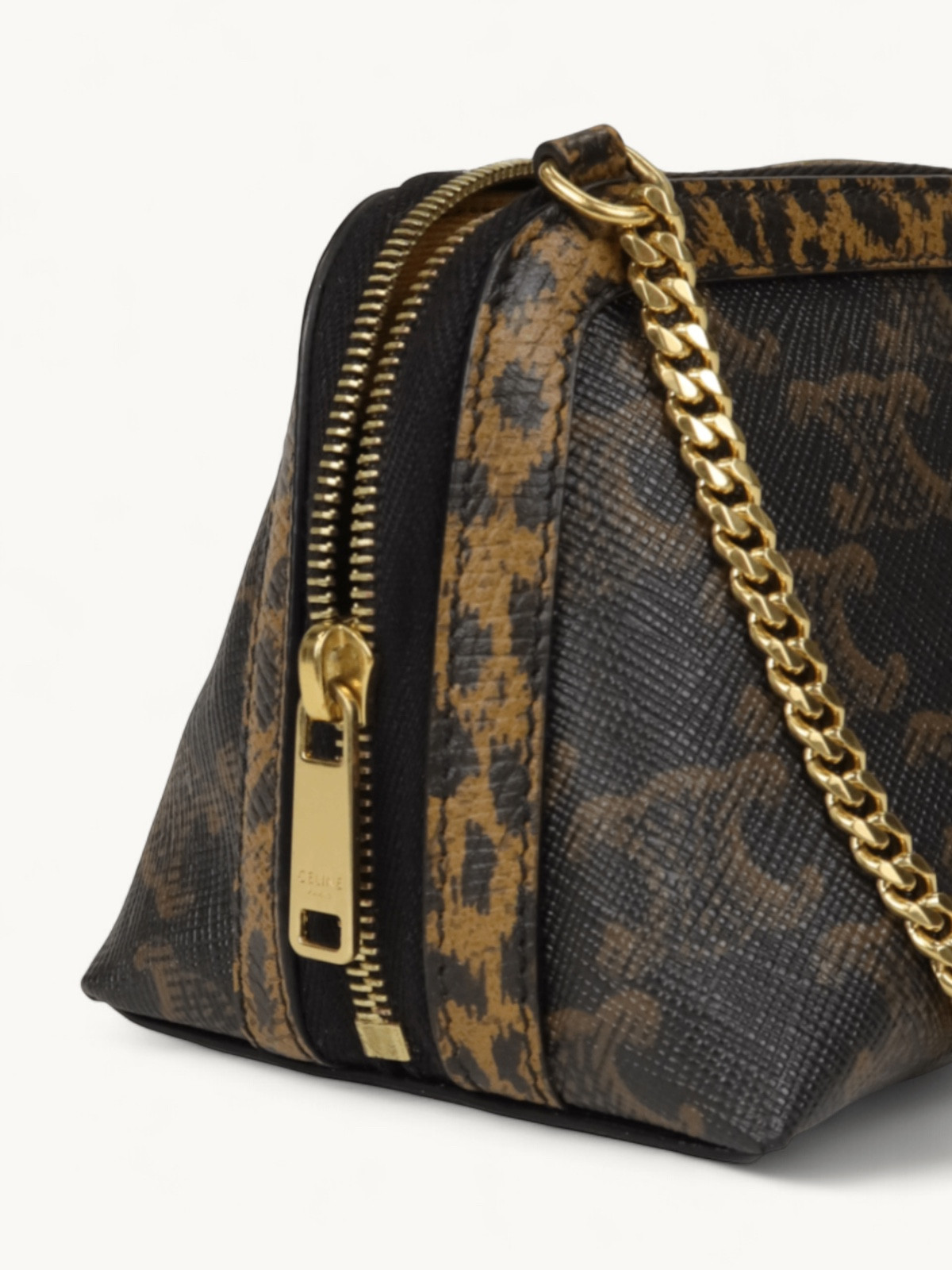 Celine Triomphe Canvas  4