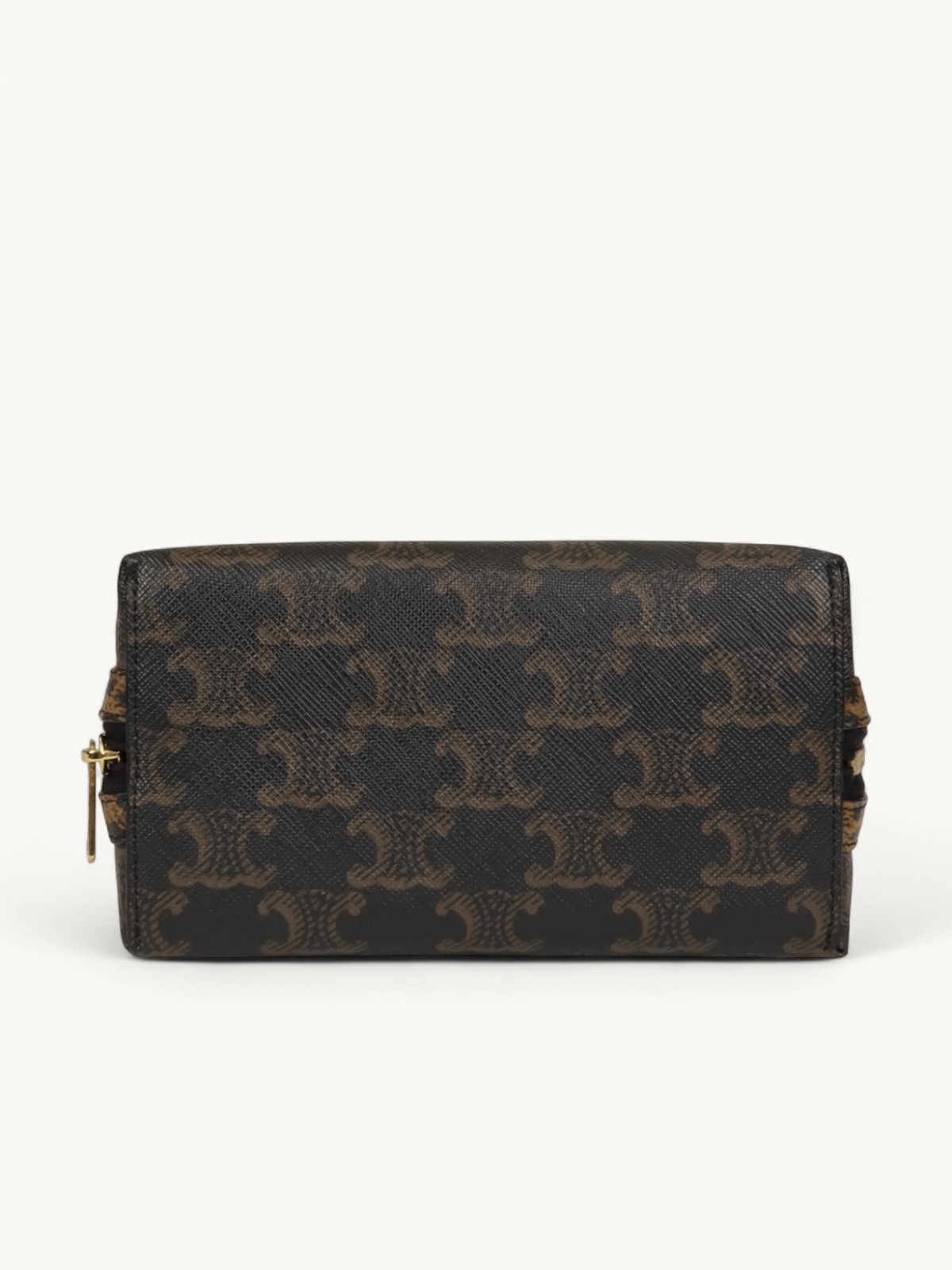 Celine Triomphe Canvas  3