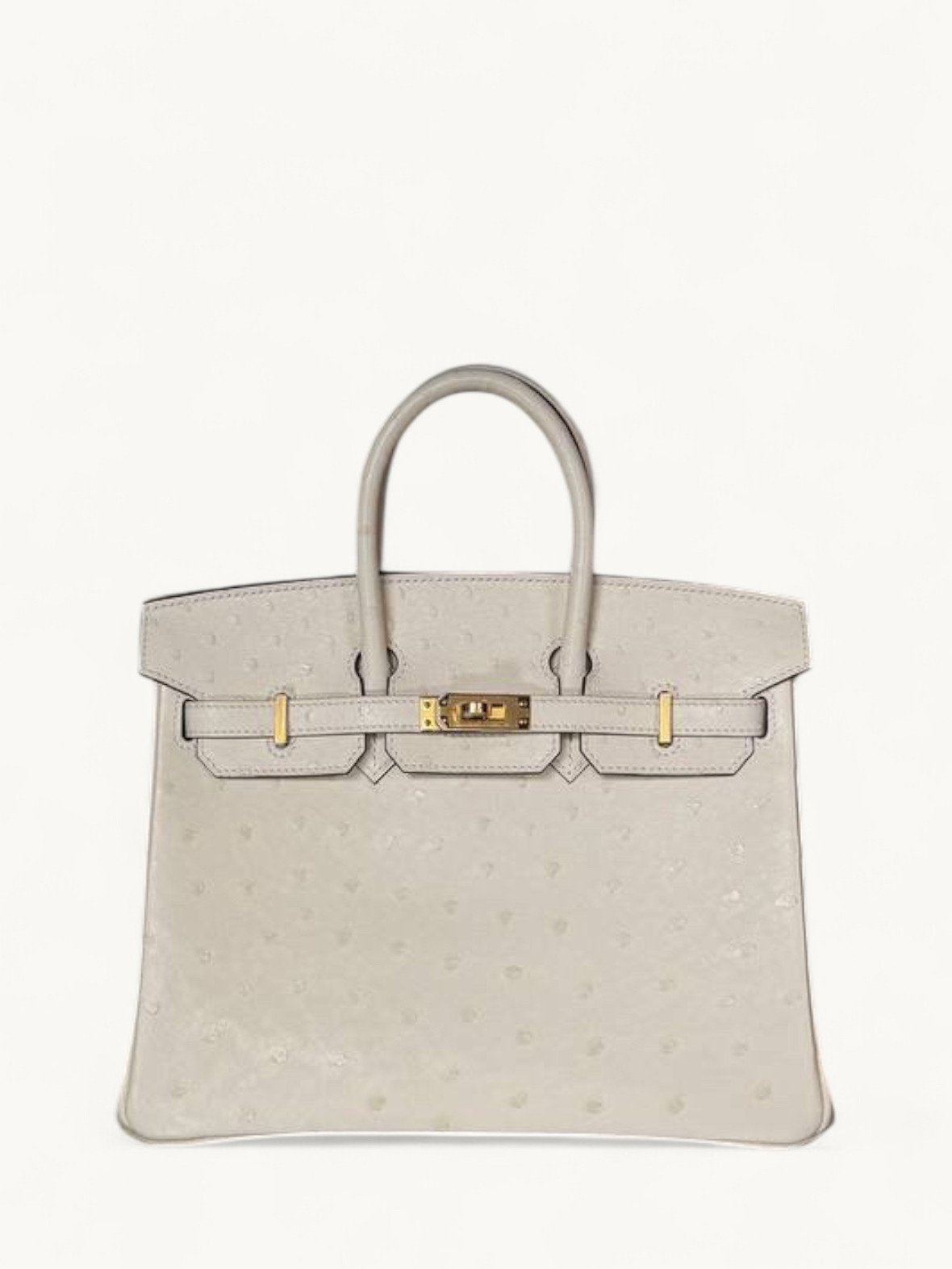 Hermes Birkin 25 0