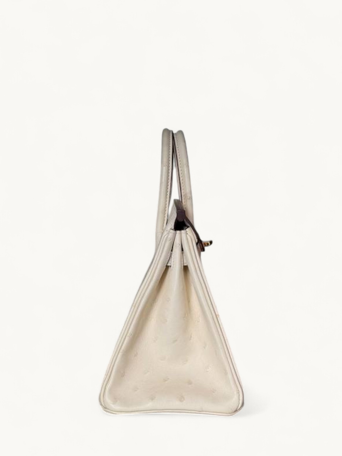 Hermes Birkin 25 1