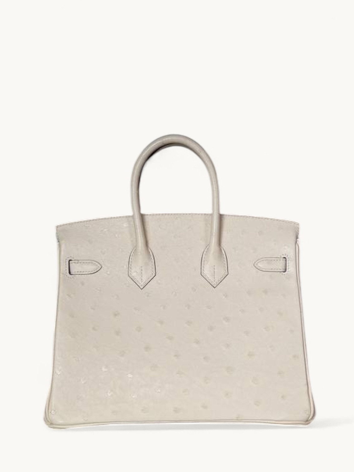 Hermes Birkin 25 3