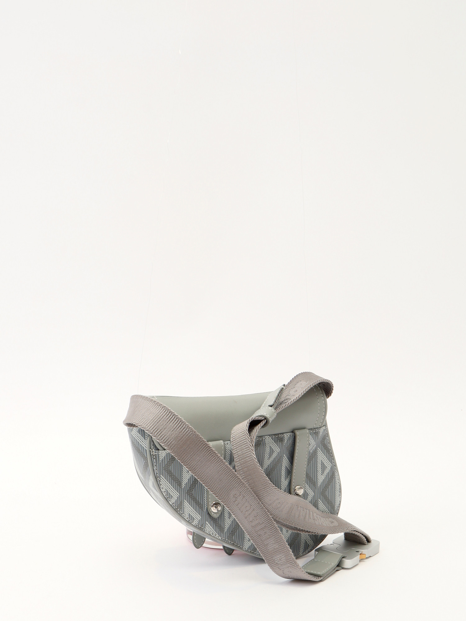 Dior Saddle  3