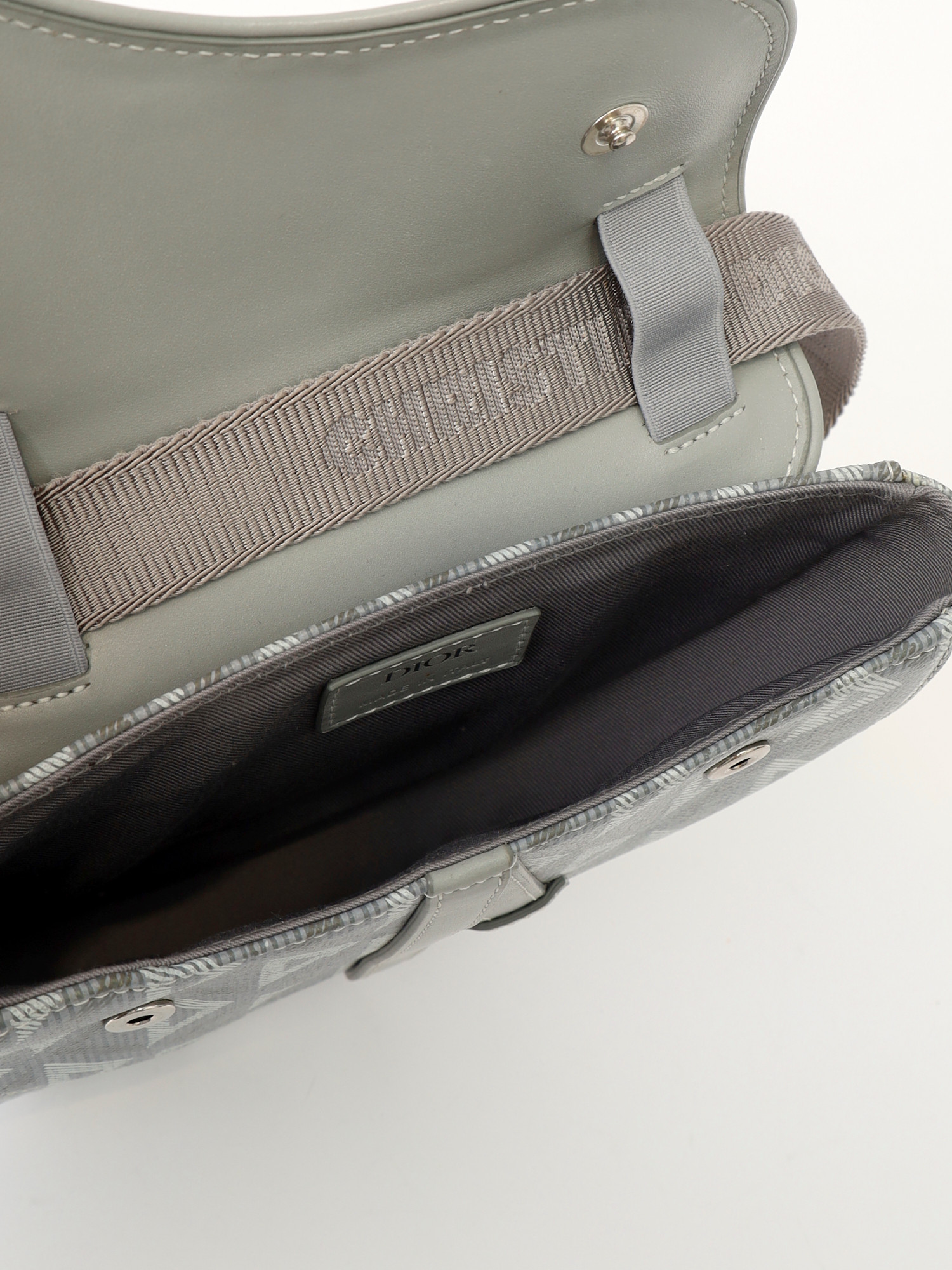 Dior Saddle  11
