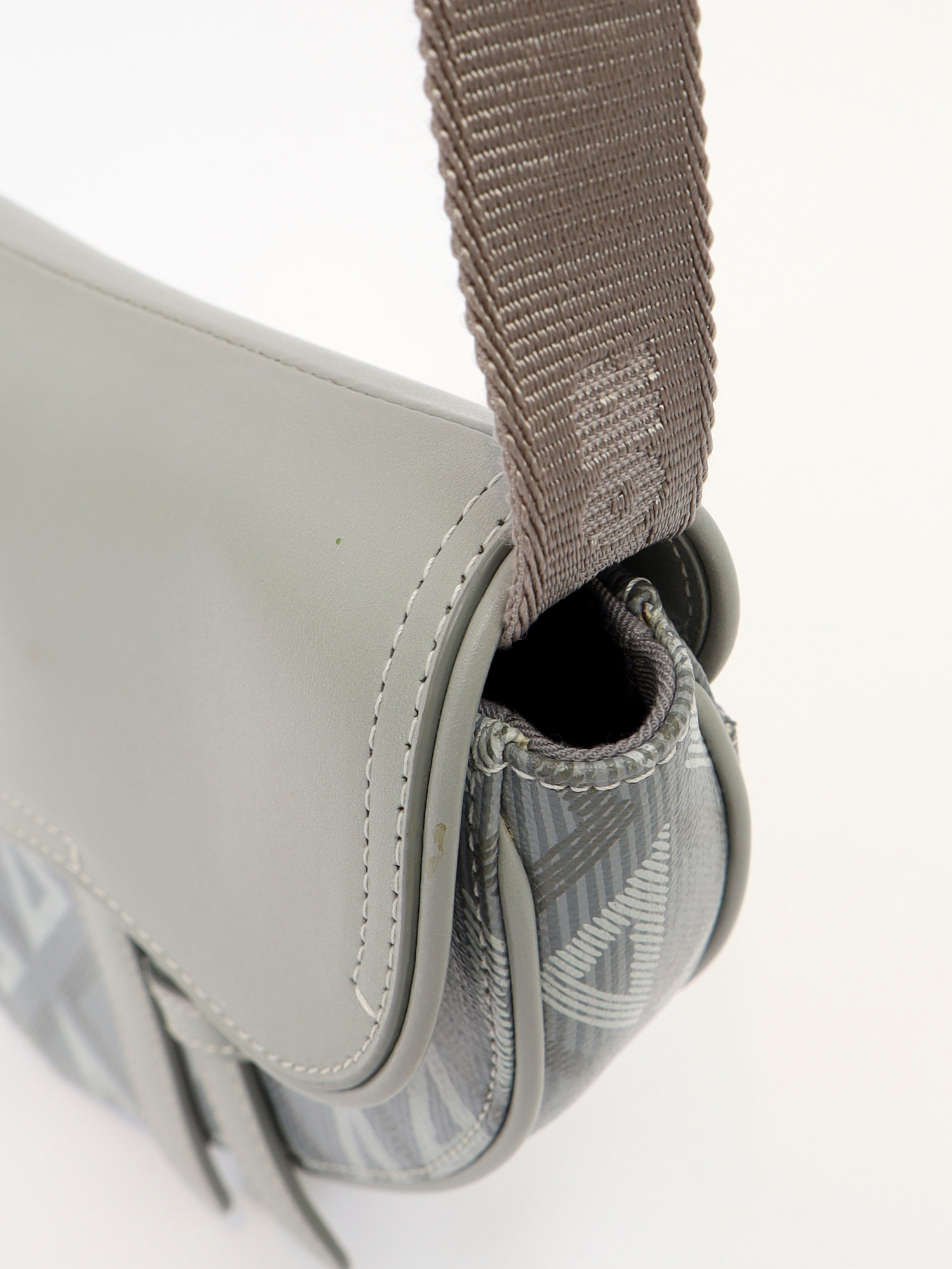 Dior Saddle  7