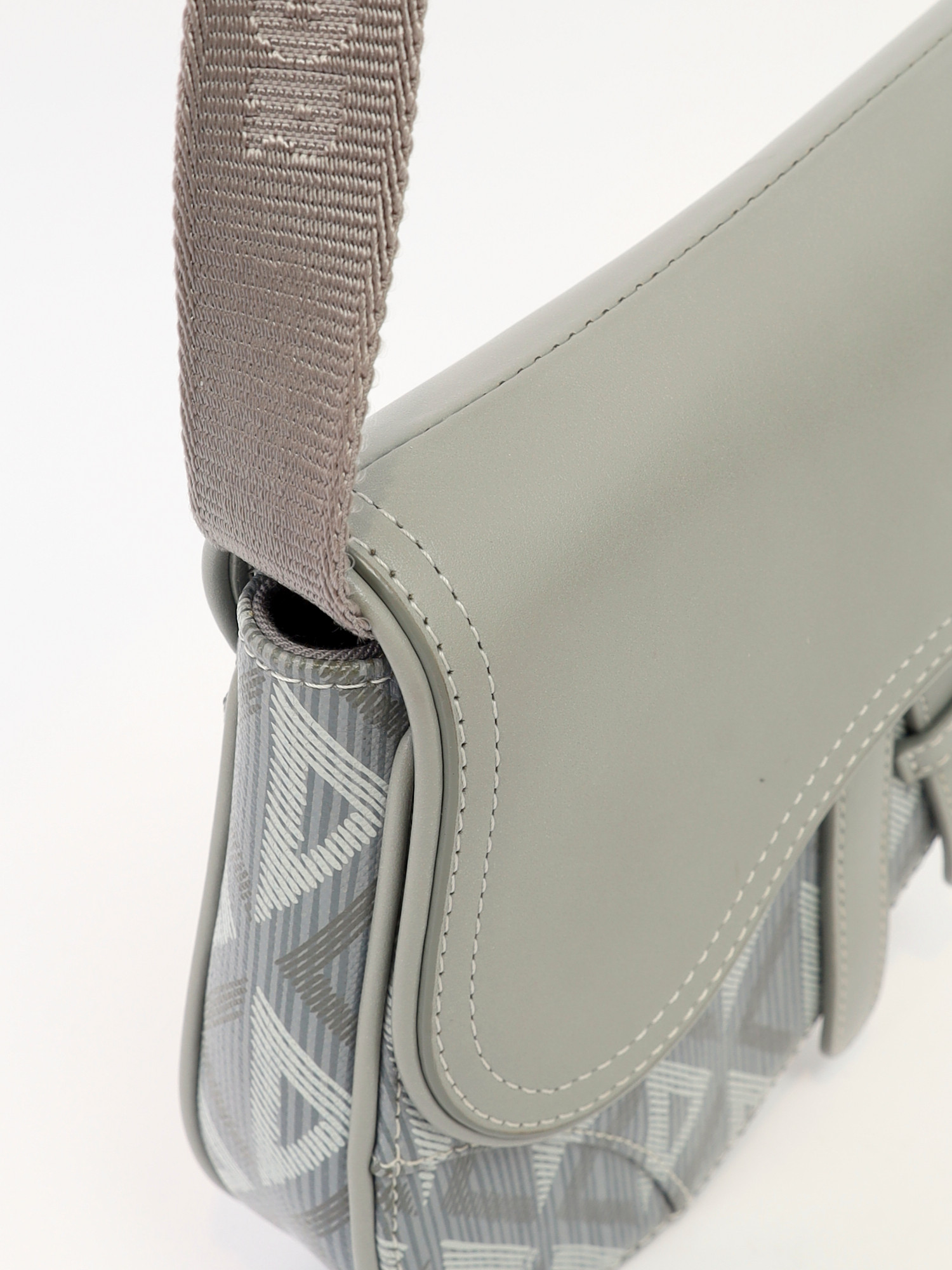 Dior Saddle  6