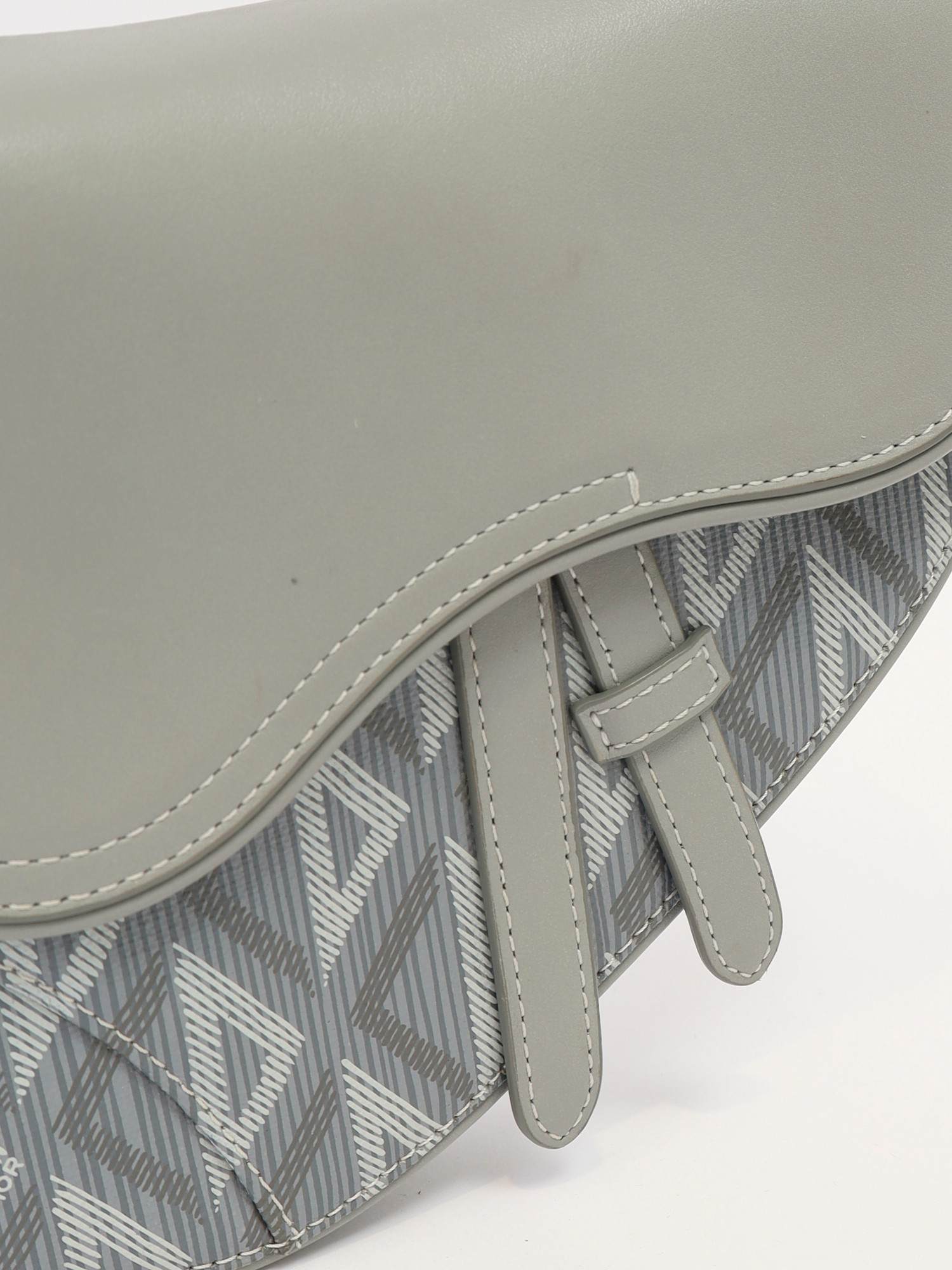 Dior Saddle  5