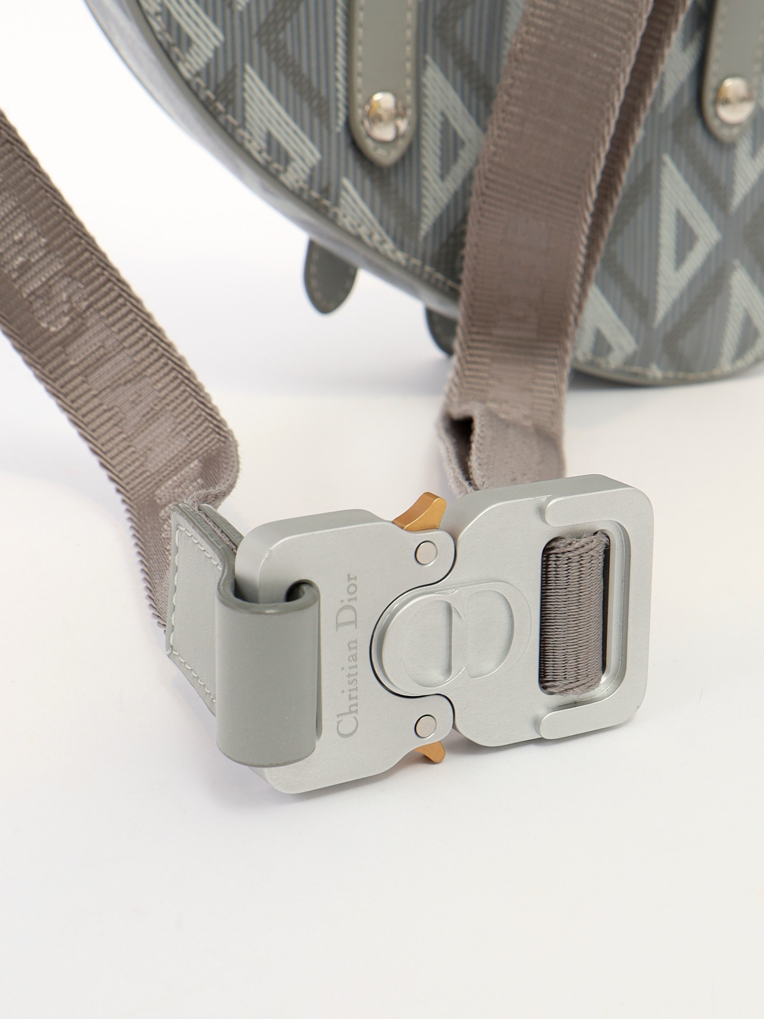 Dior Saddle  8