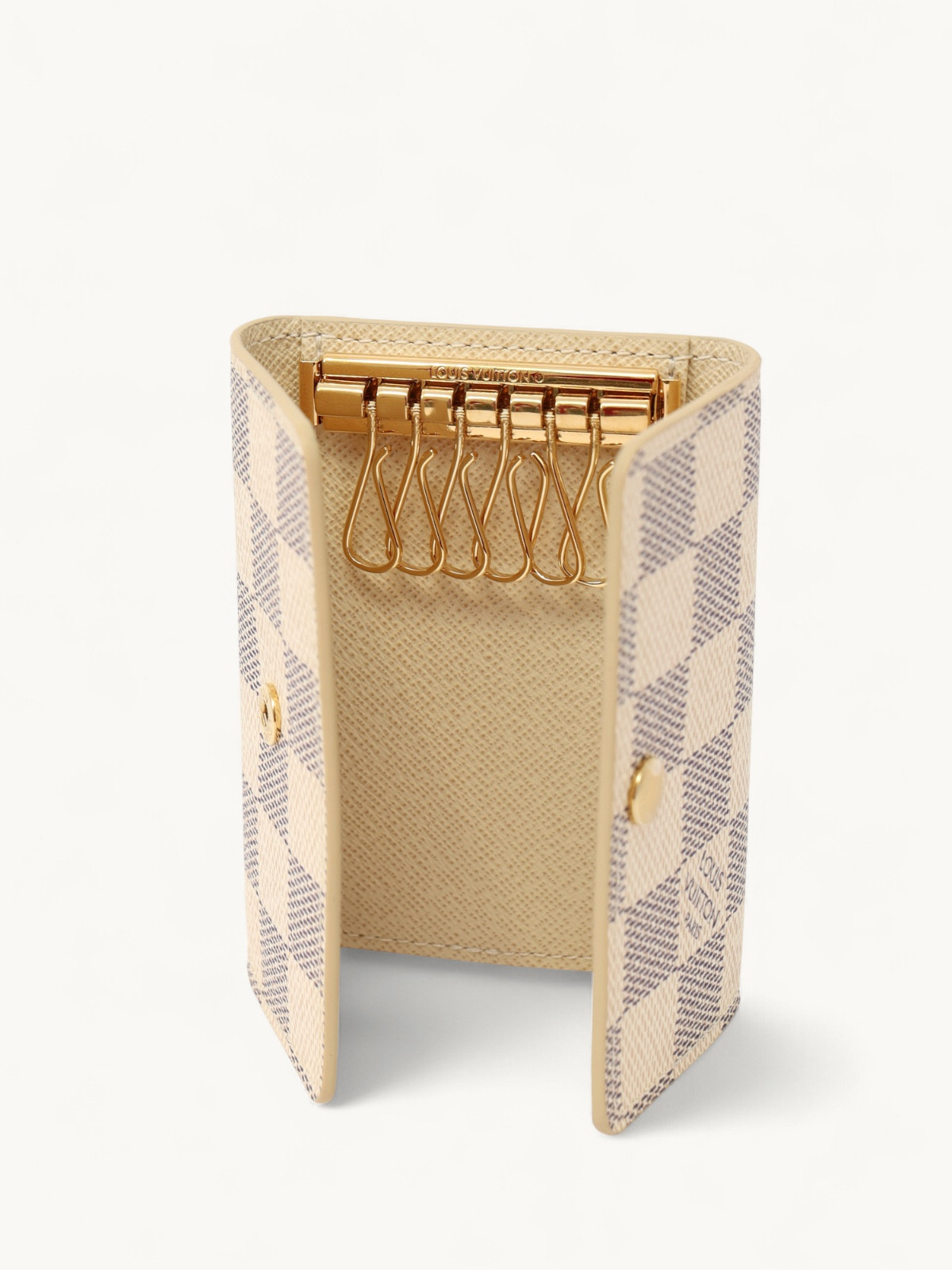 Louis Vuitton Case  5