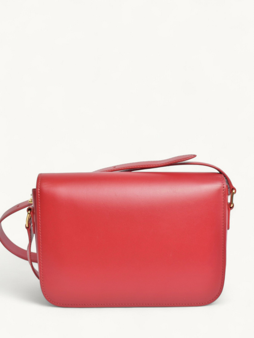 Celine Triomphe  2