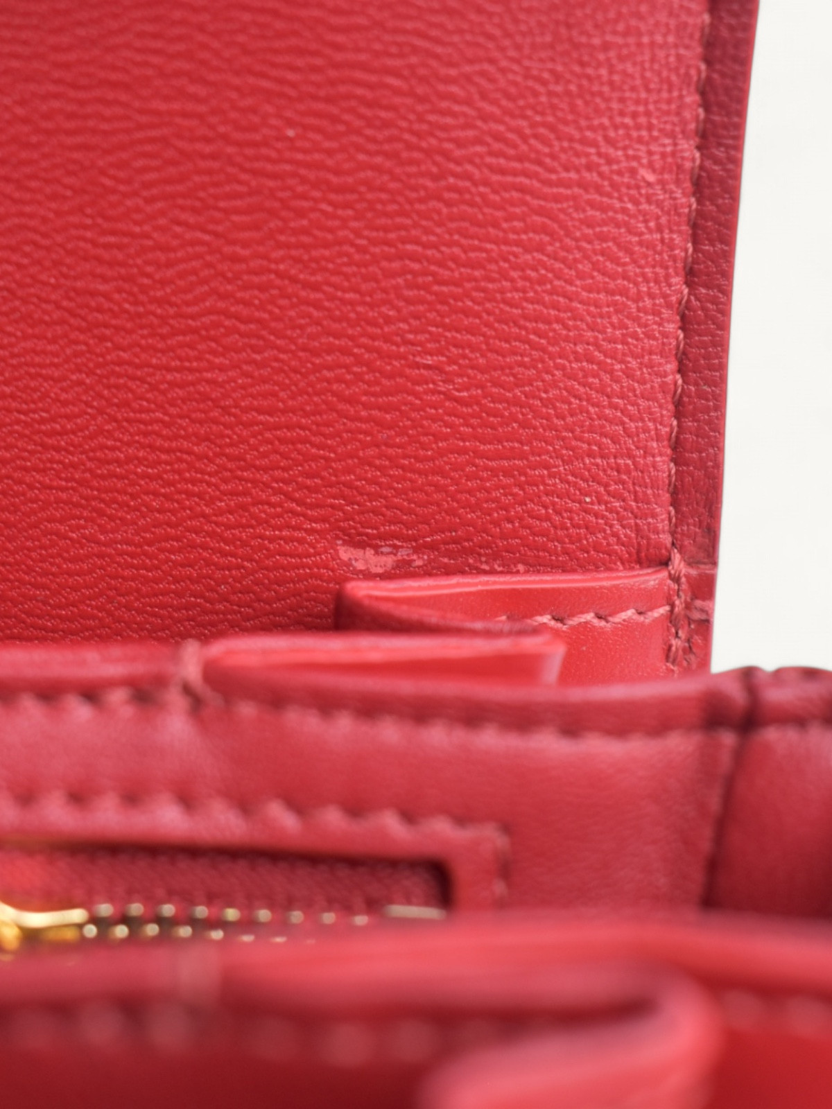 Celine Triomphe  5