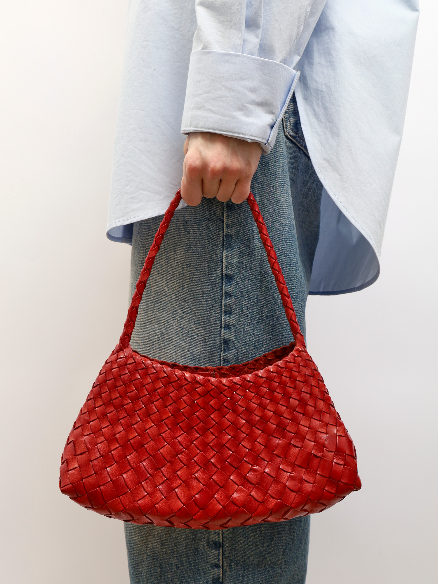 Dragon Diffusion Rosanna 1