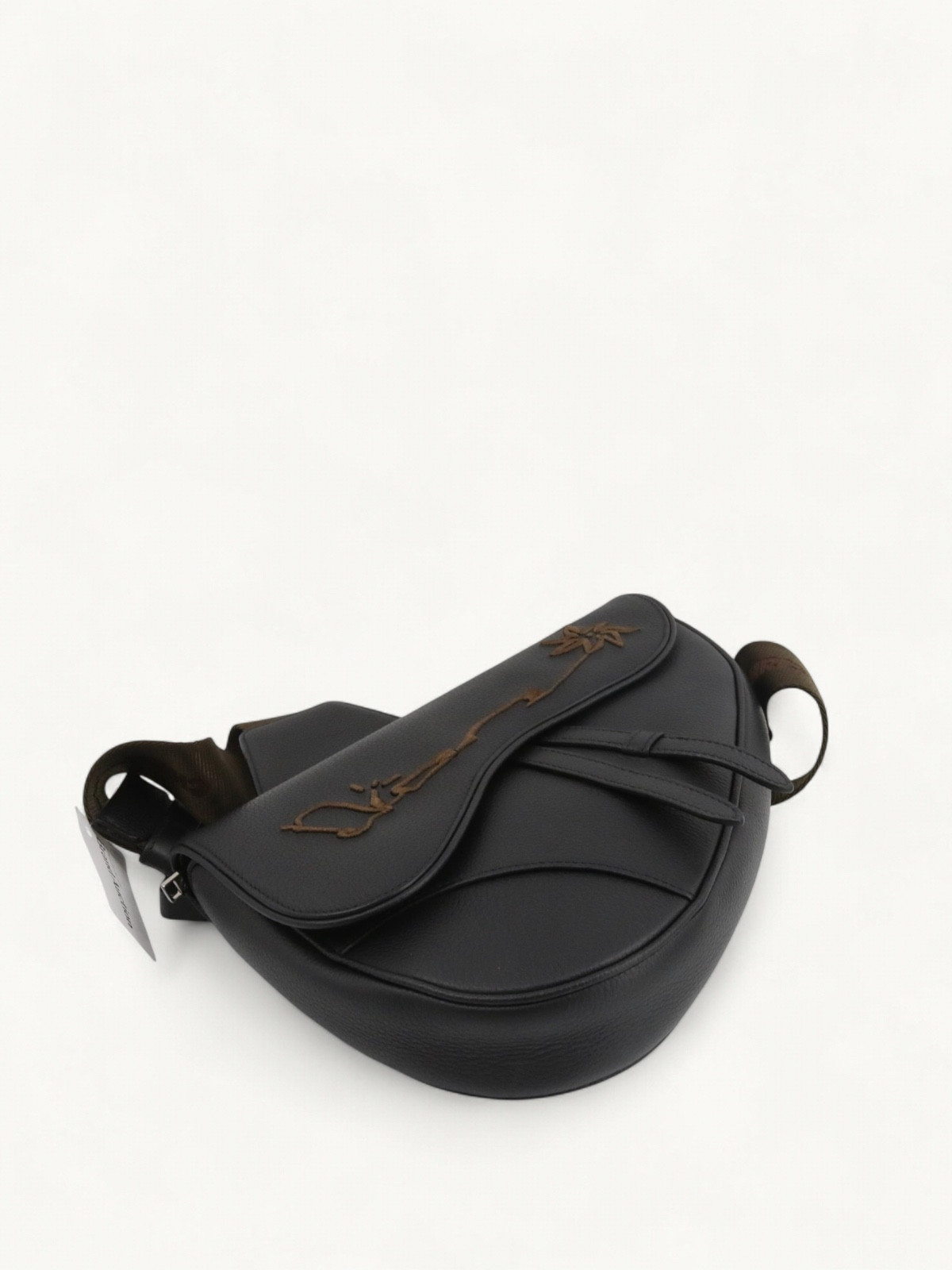 Dior Saddle  1